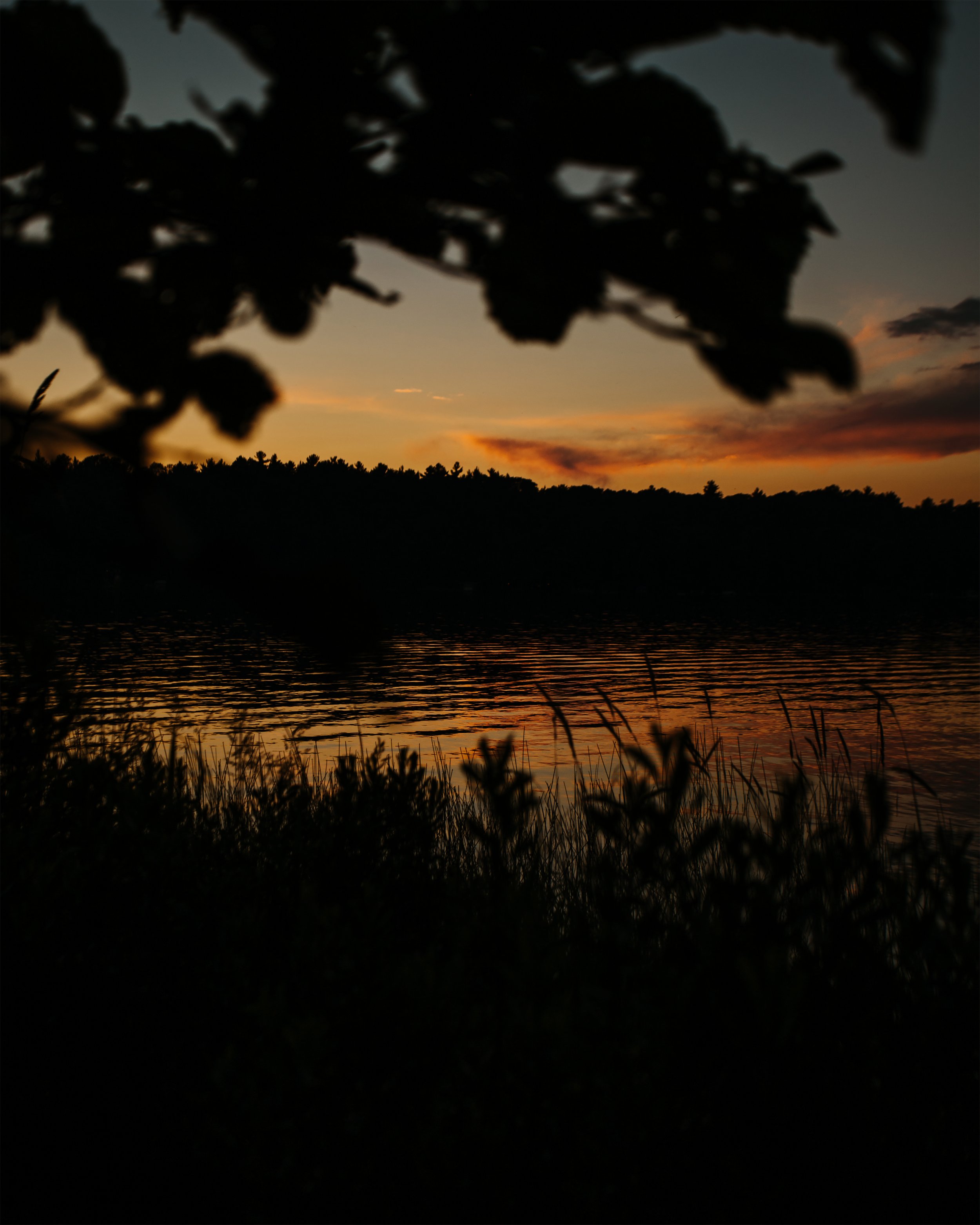 IMG_6658_orange_reflection.jpg