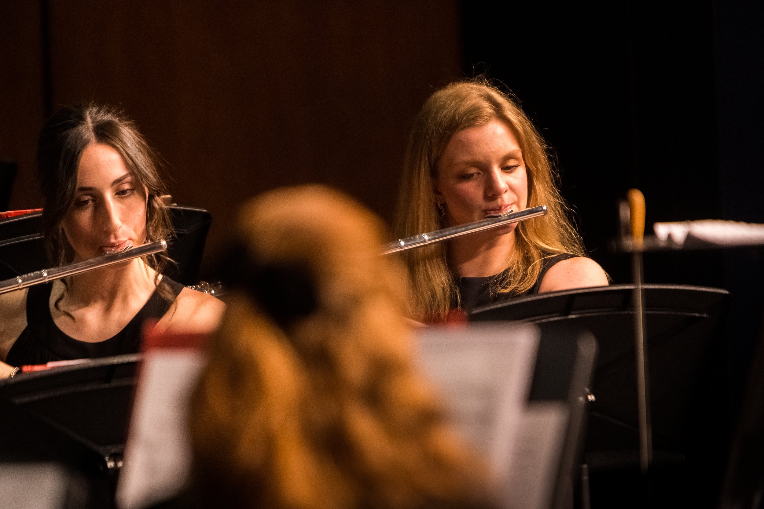 Orchestra-06.jpg