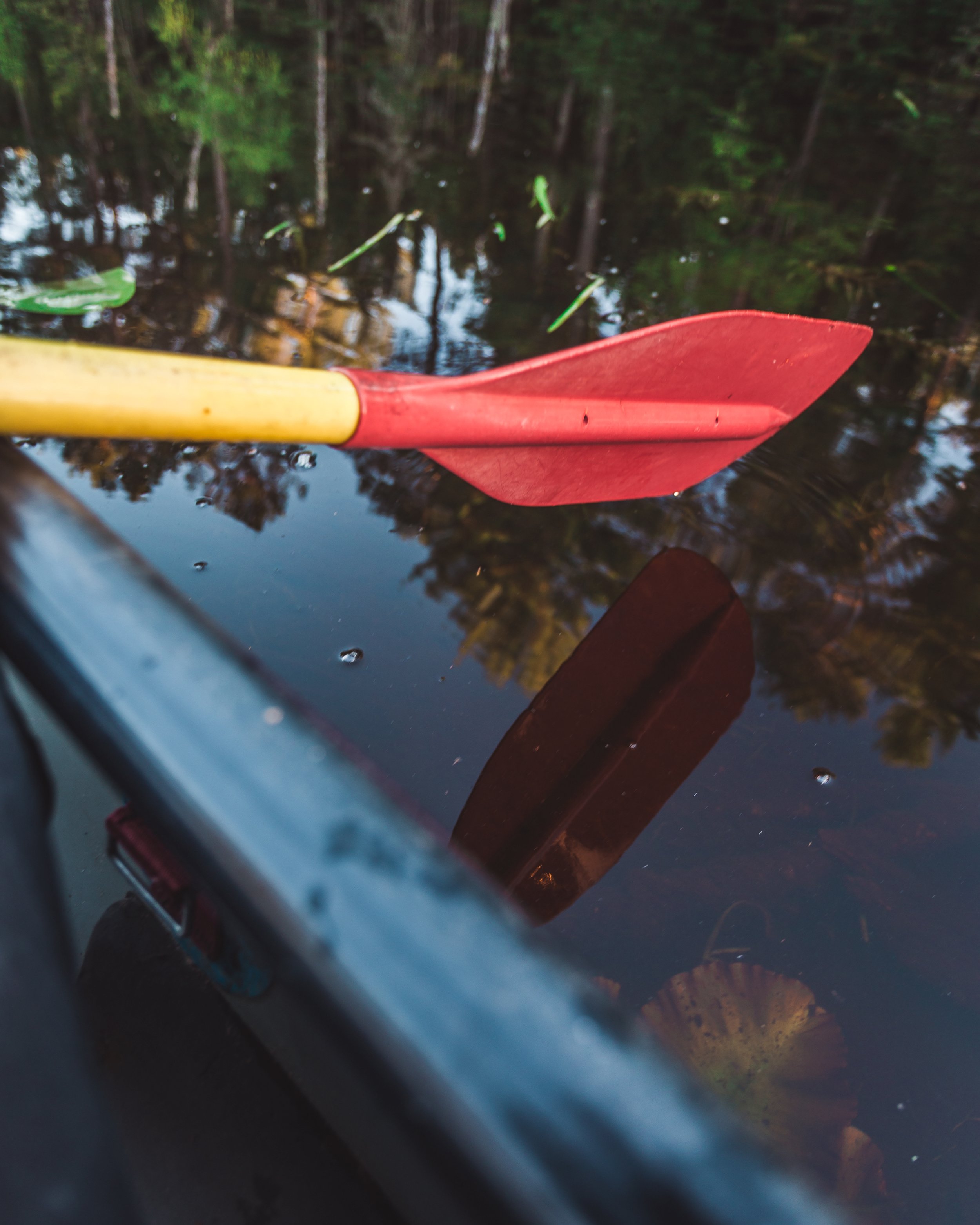 IMG_3775_canoe_oar.jpg