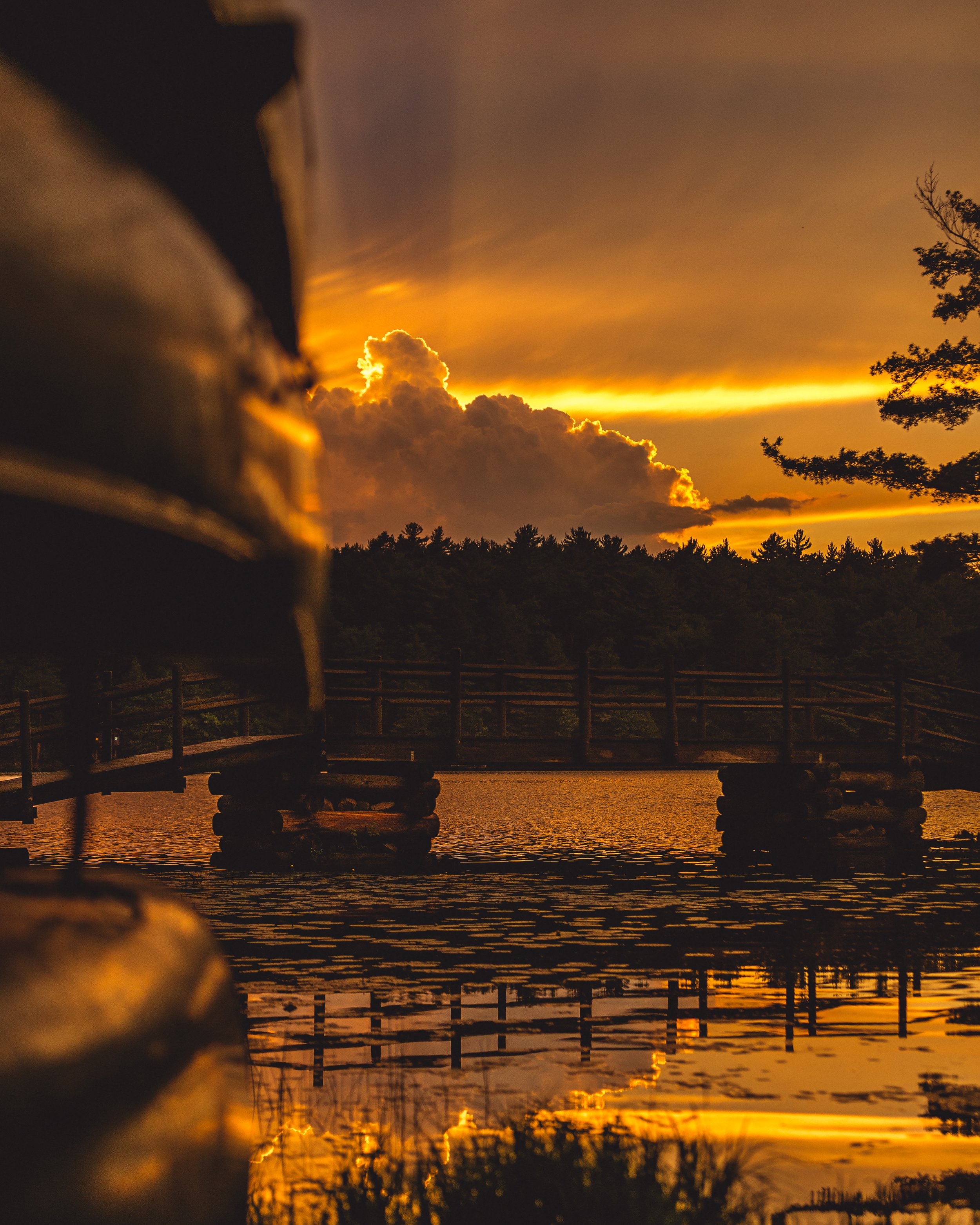 IMG_4945_Gold_canoes.jpg