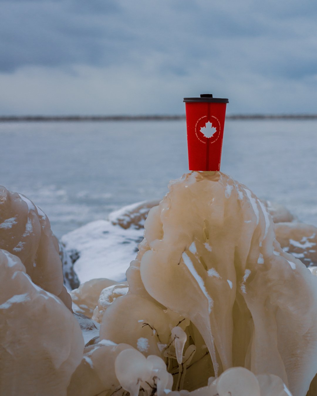 IMG_9902_Buffalo_Harbour_tims.jpg