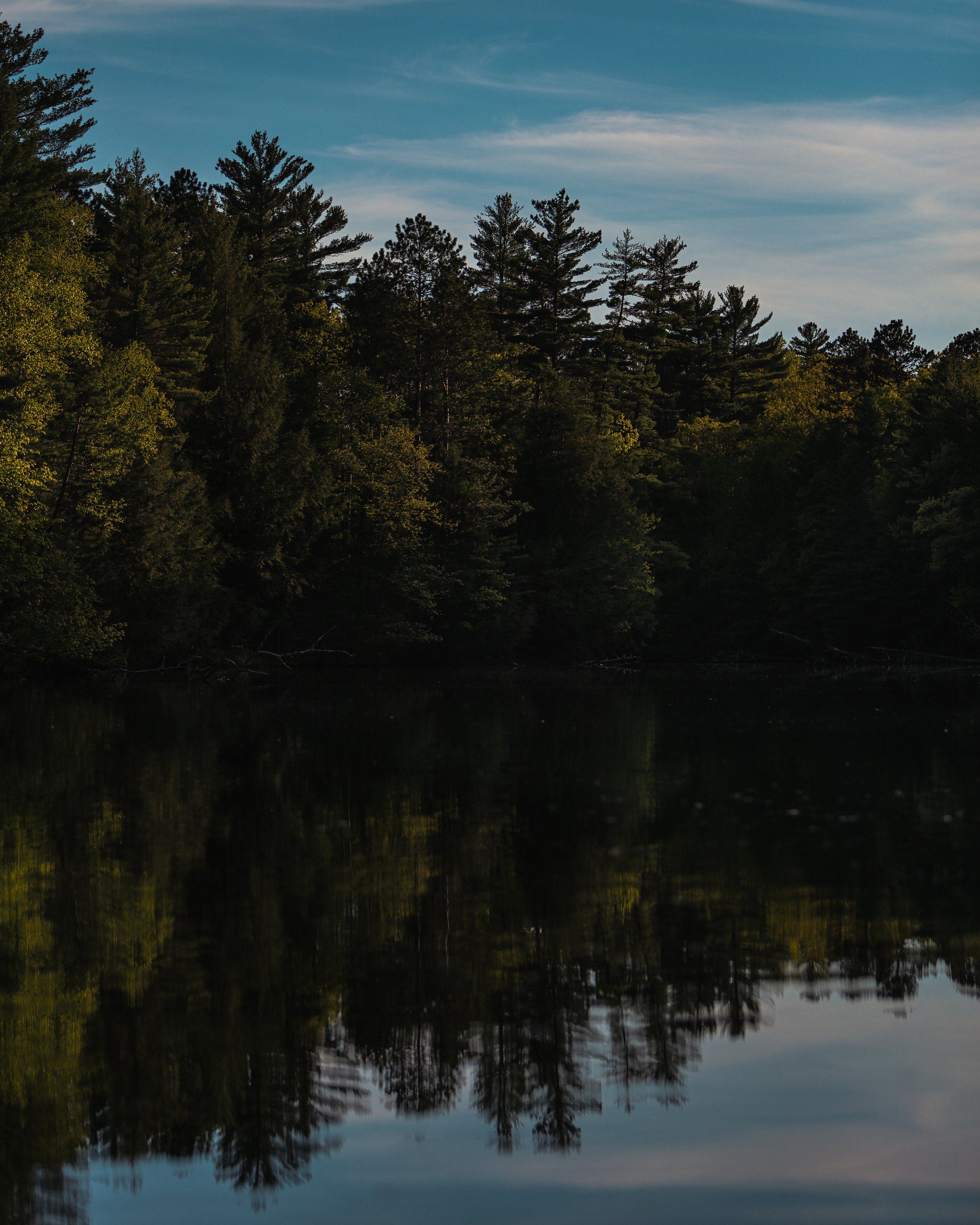 IMG_3908_mirrored_pines.jpg