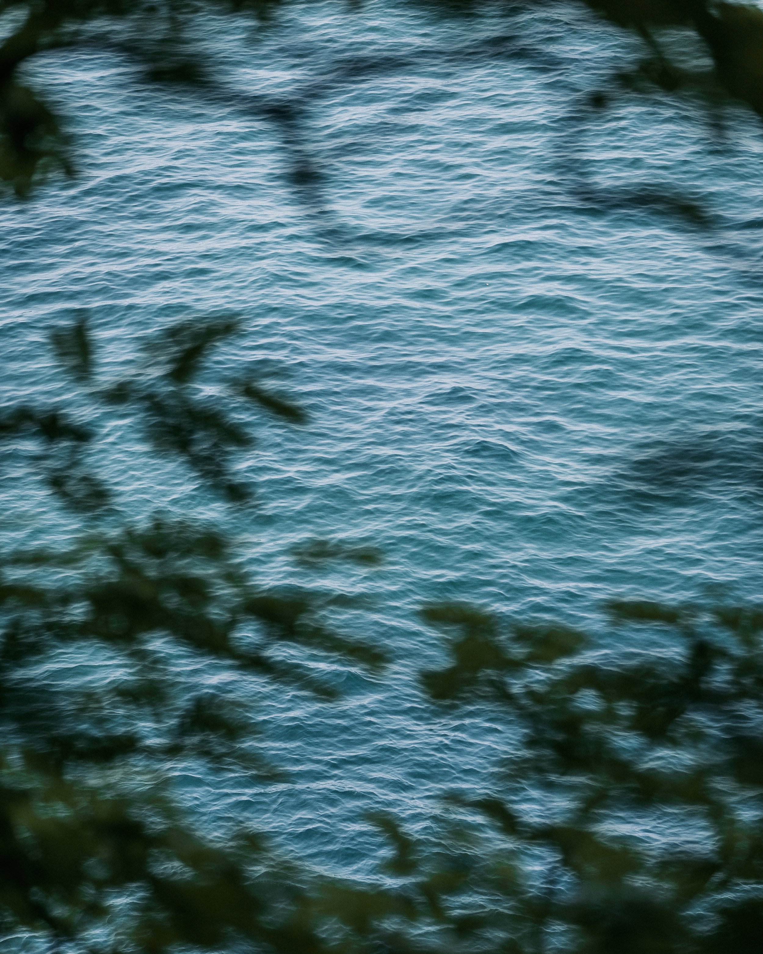 IMG_7124_hole_water.jpg
