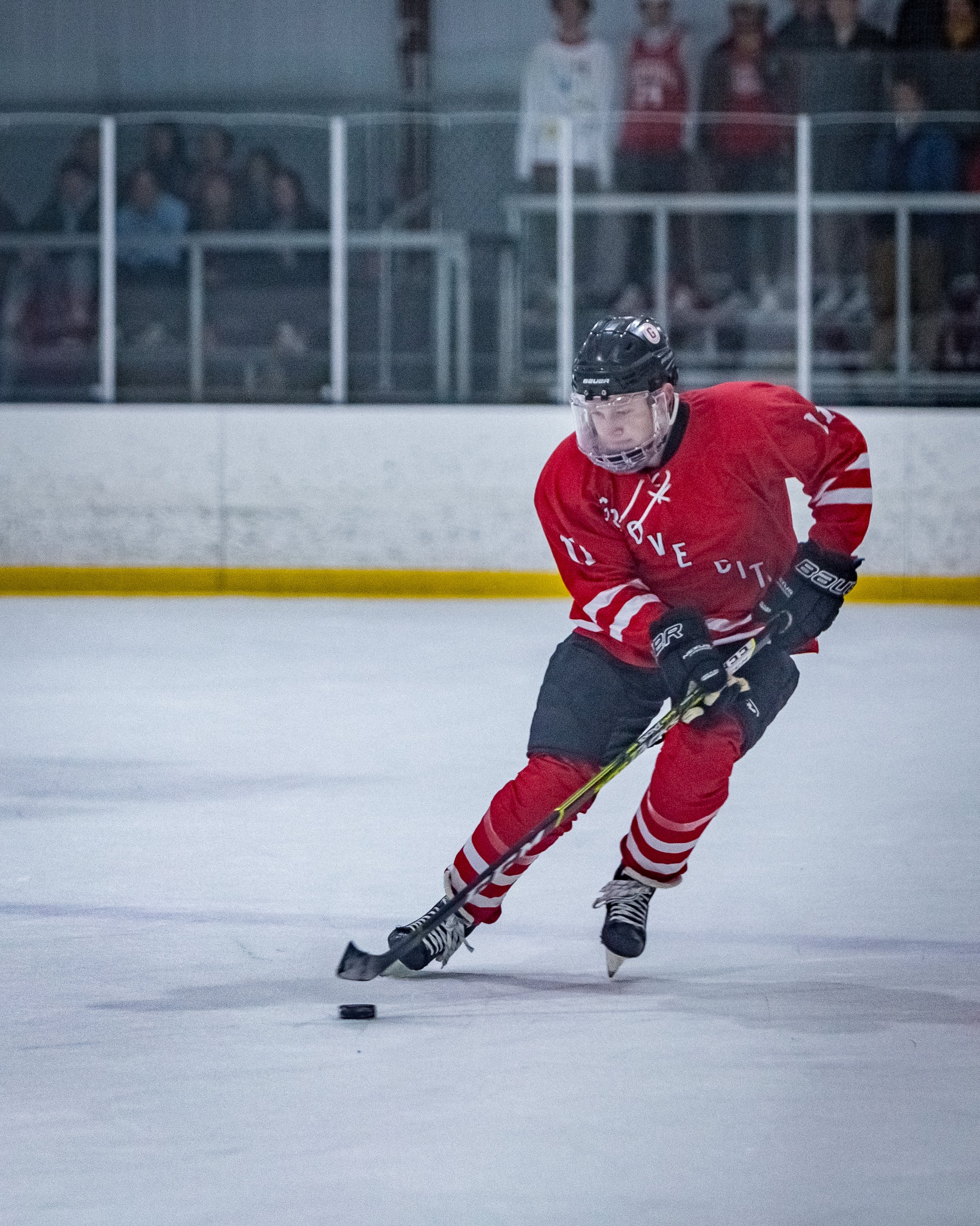 Hockey_apr10-04.jpg