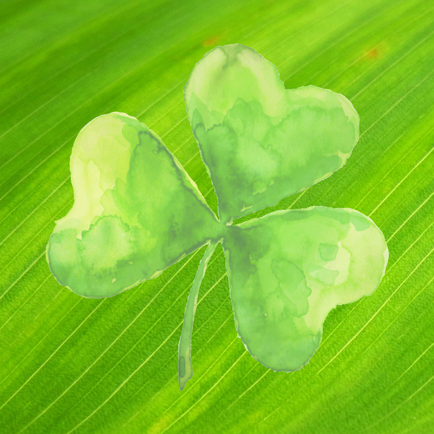 Untitled design-20.png