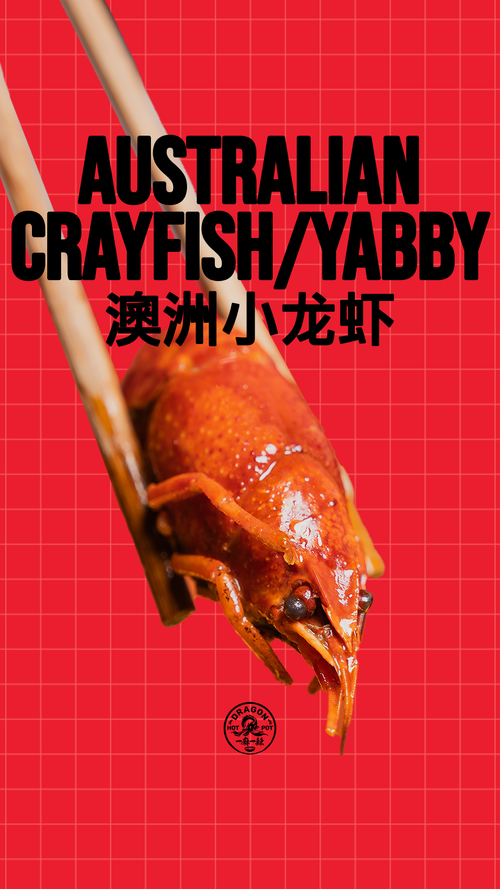 S4.webp