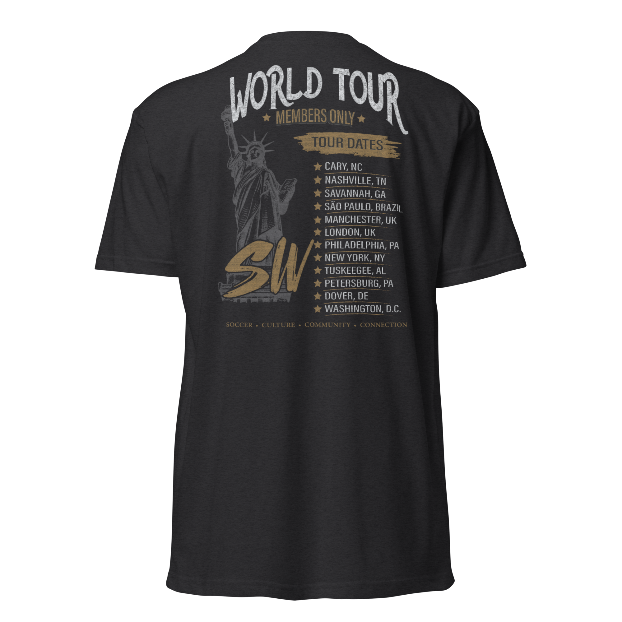 unisex-cvc-t-shirt-black-back-6a0bd299b2516.png