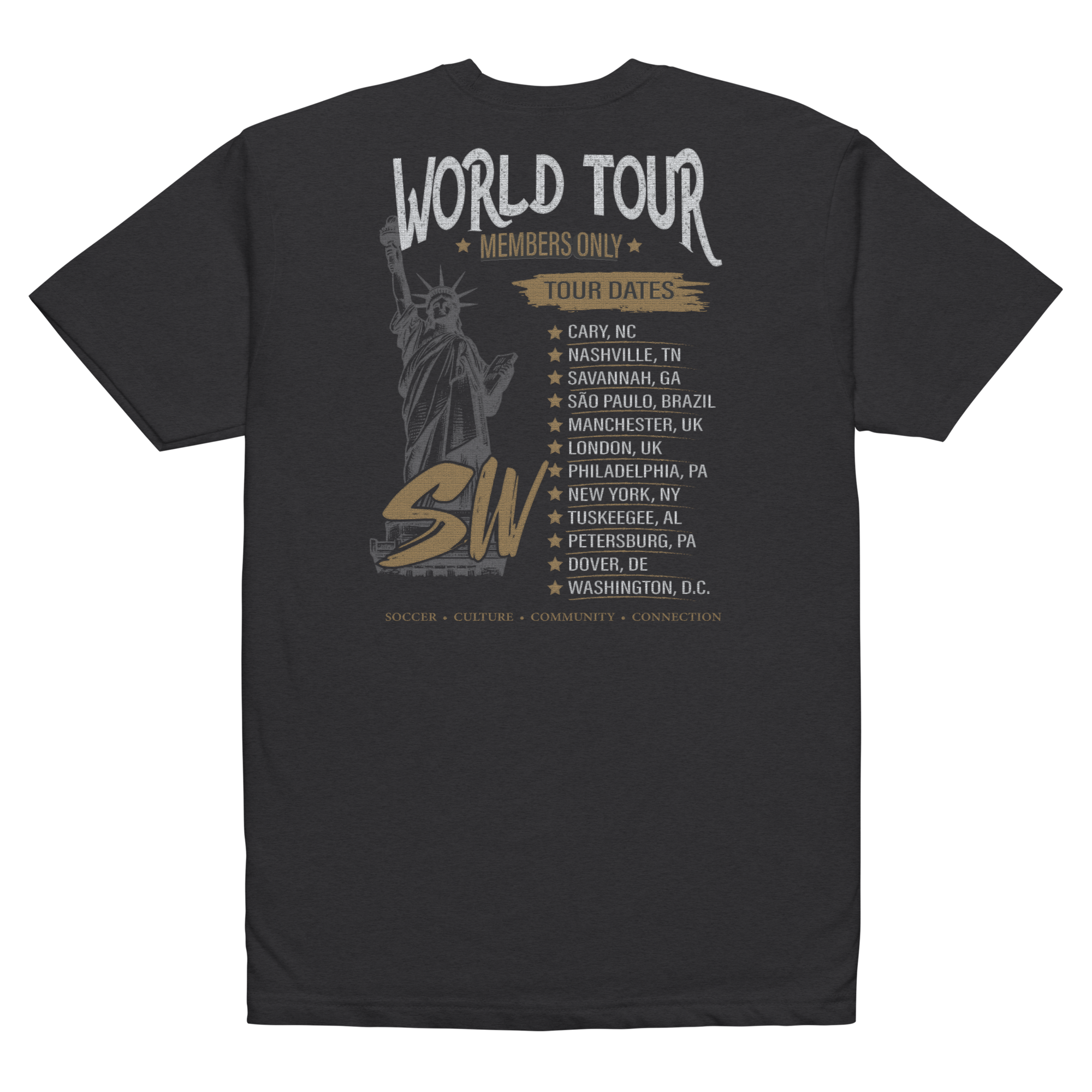 unisex-cvc-t-shirt-black-back-6a0bd299b20d6.png