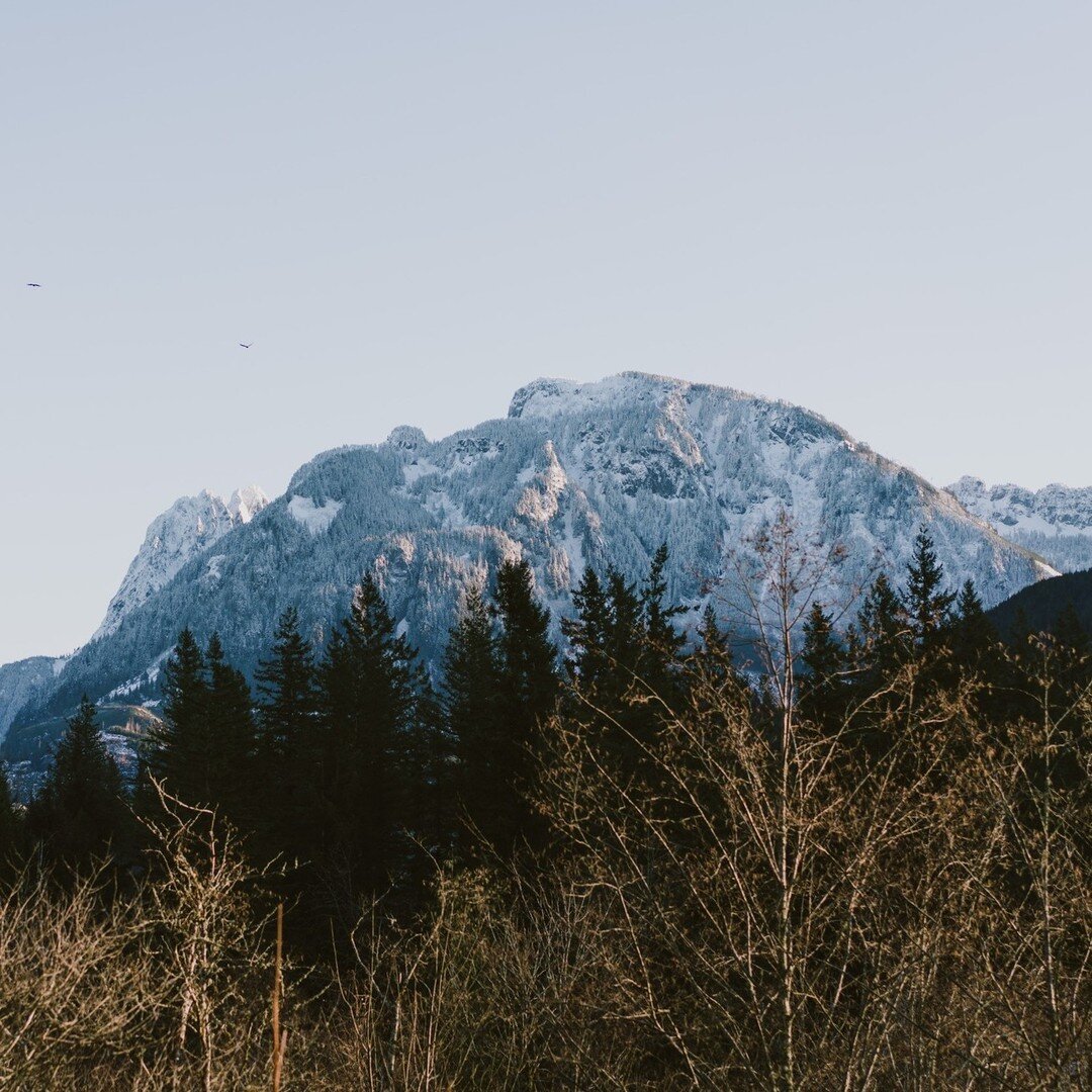 Can you imagine waking up to this view? Snow capped mountains,Douglas firs, and that crisp mountain air filling your lungs as you inhale deeply, looking forward to a beautiful day in the Cascades.  @theonwaframe 

📸 @jamesharnoisphoto 

 #explorewas
