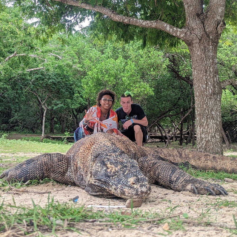 Visiting Komodo National Park: What You Can Expect — Live Self Happy