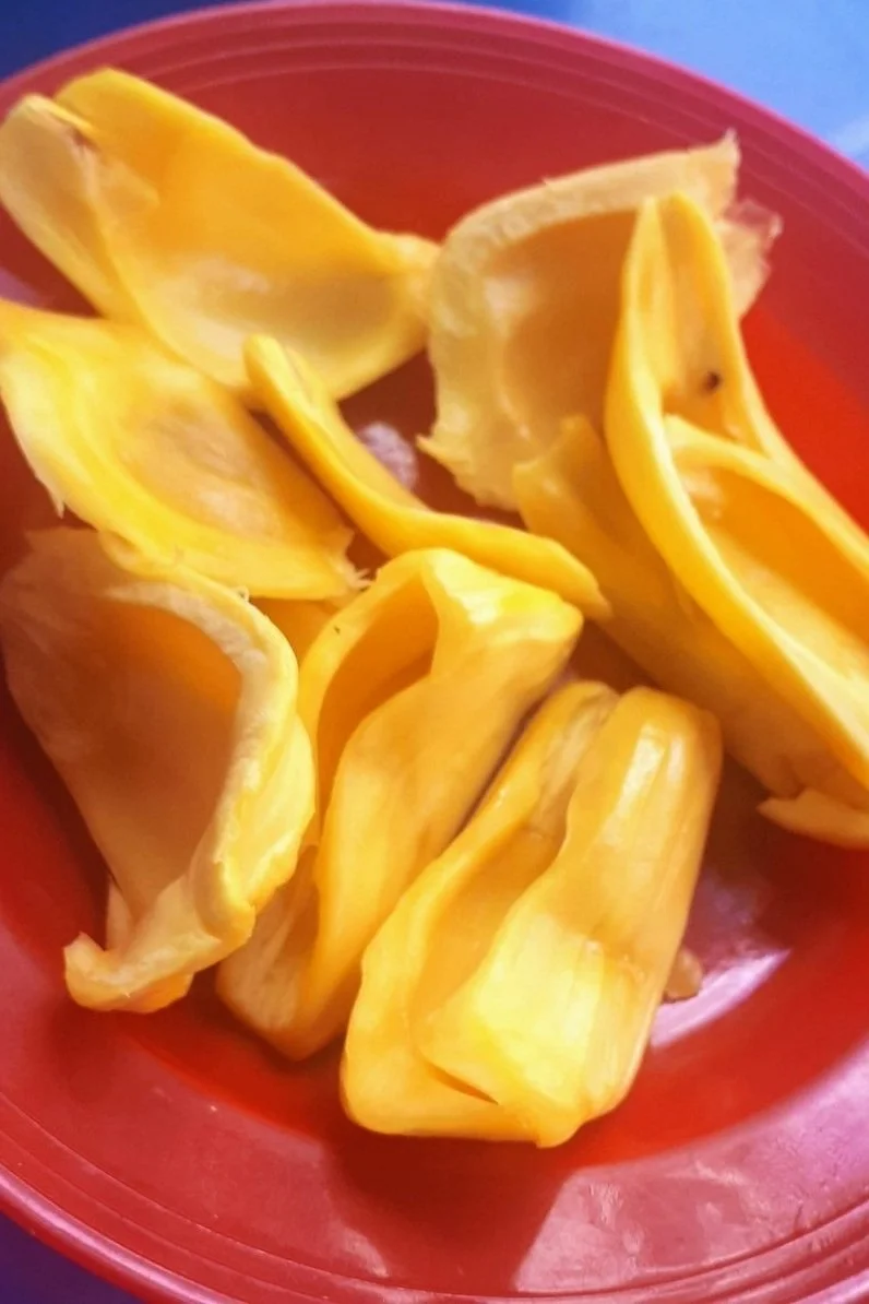 Howtocookcannedjackfruit — Live Self Happy