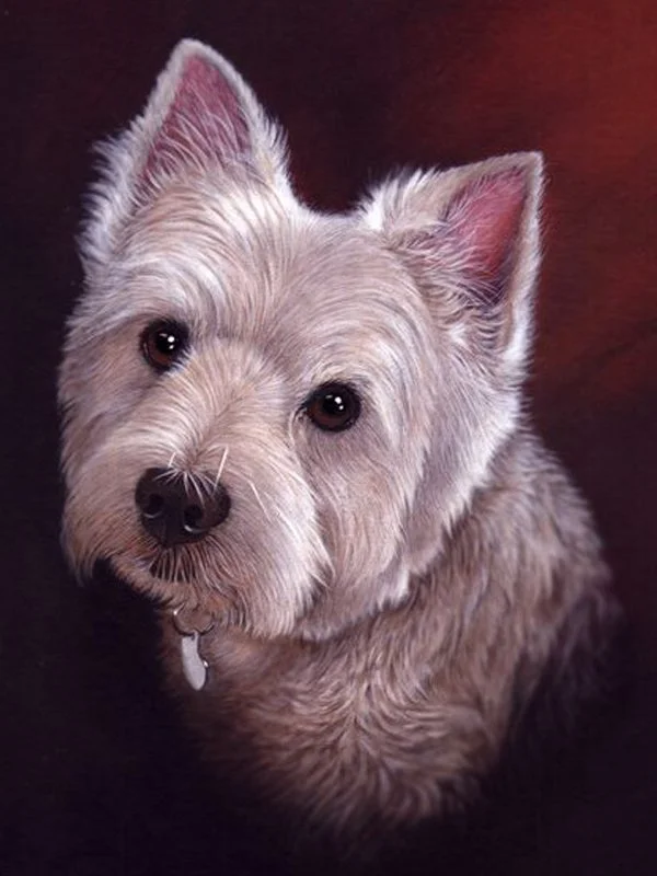 artistic pet portrait 2 acrylic.jpg