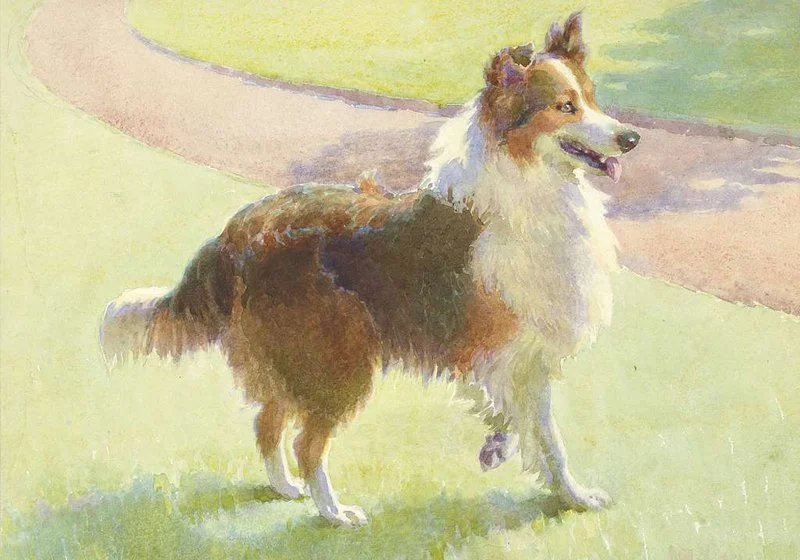 artistic pet portrait 4 watercolour dog full body.jpg