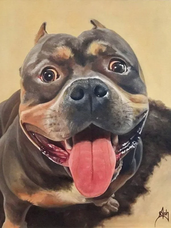 artistic pet portrait 3 guache dog.jpg