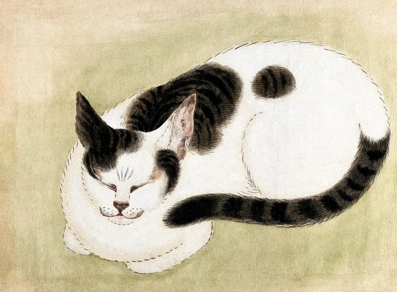 stylised pet portrait 4.jpg