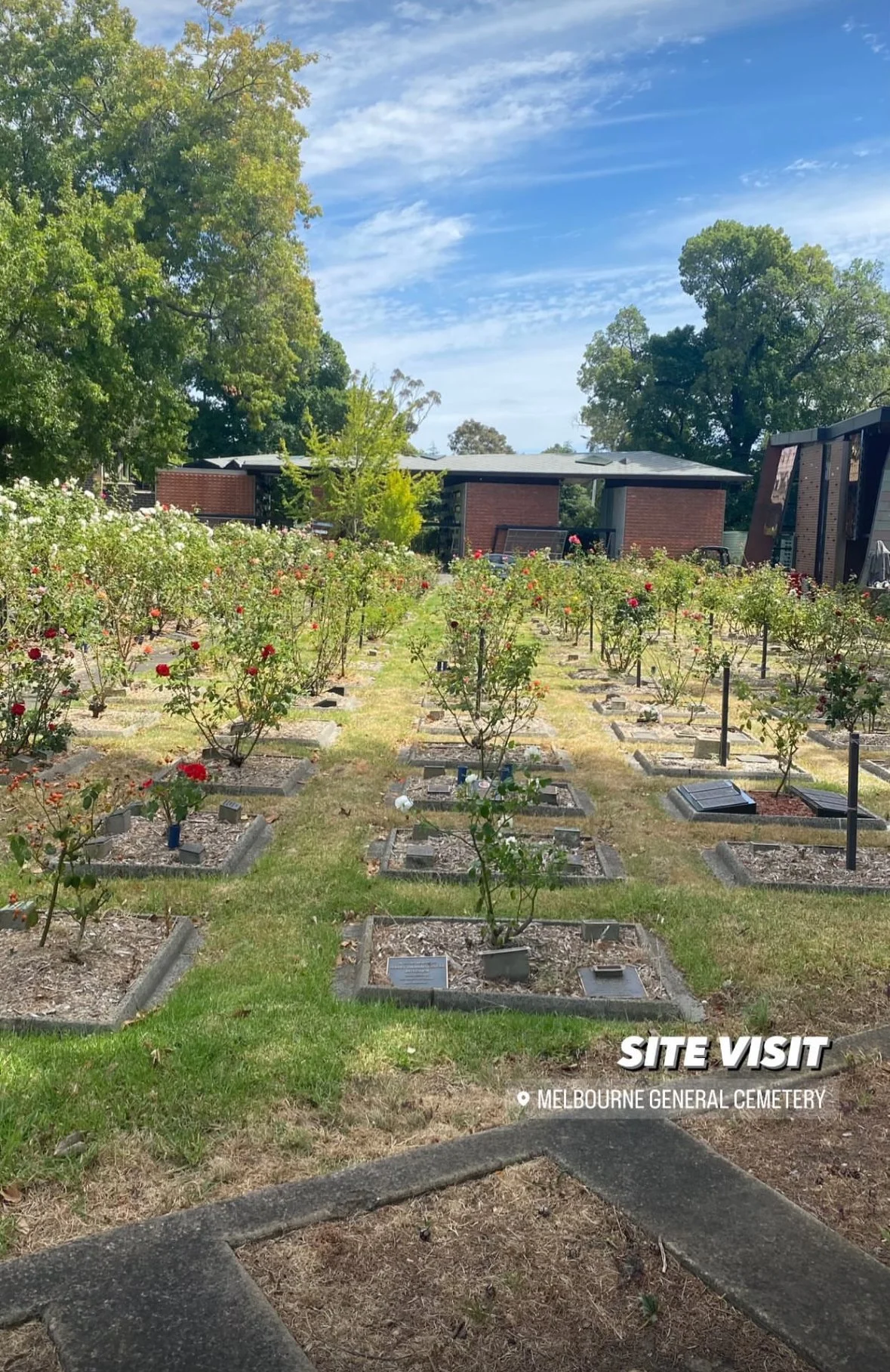 微信图片_20250117153536.jpg