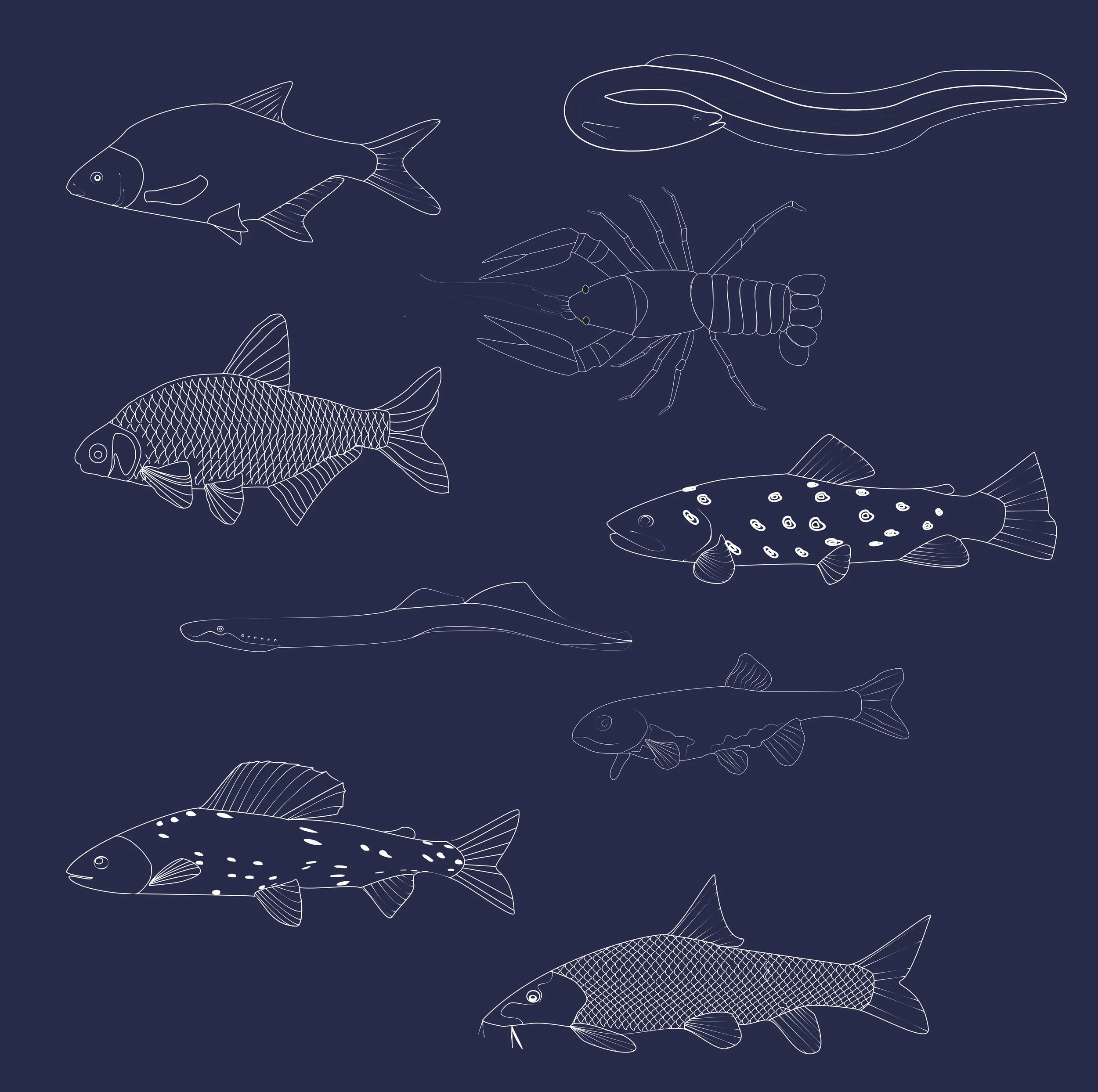 Fische Kopie.jpg