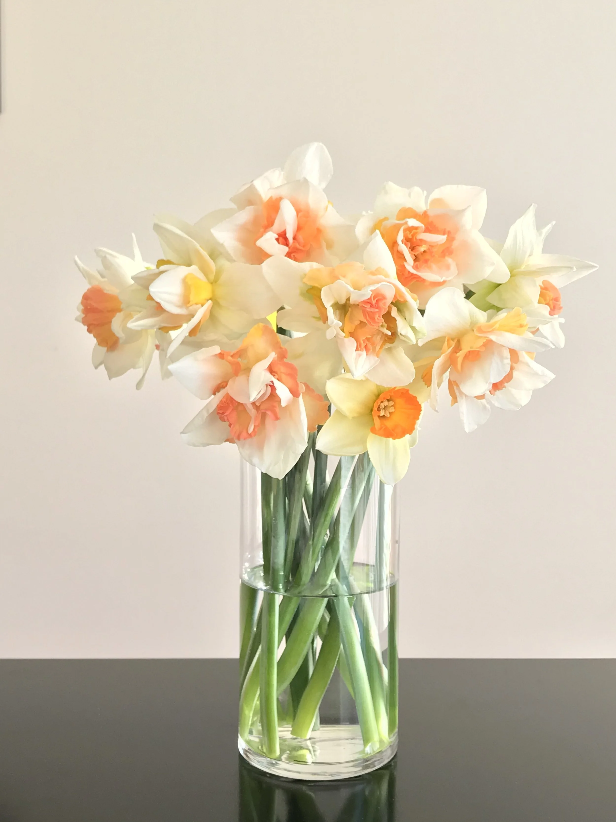 Daffodils clear vase.jpg