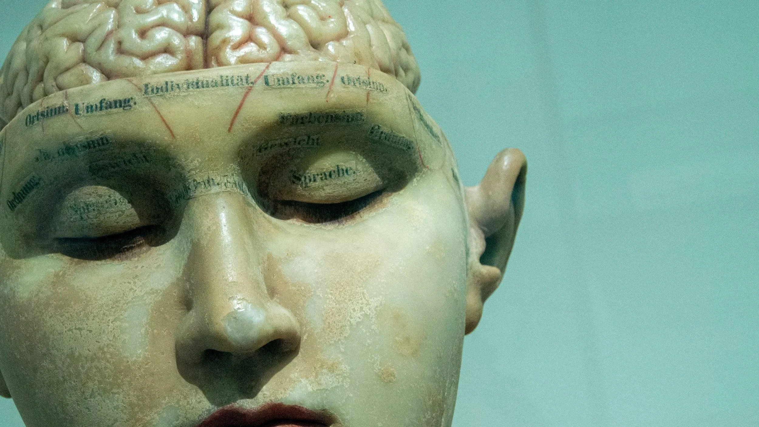 Ketogenic Therapy: Why Is It Beneficial for the Brain?