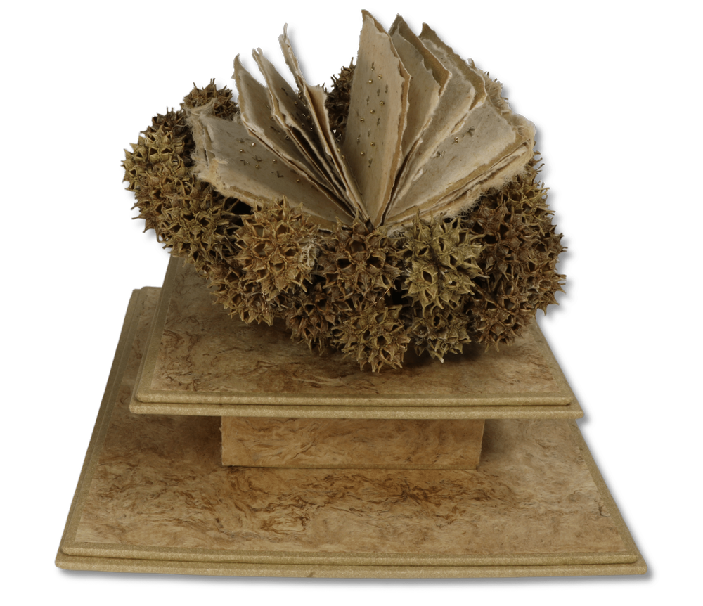 What Is an Artist’s Book? Why Do Artists Make Artist’s Books?