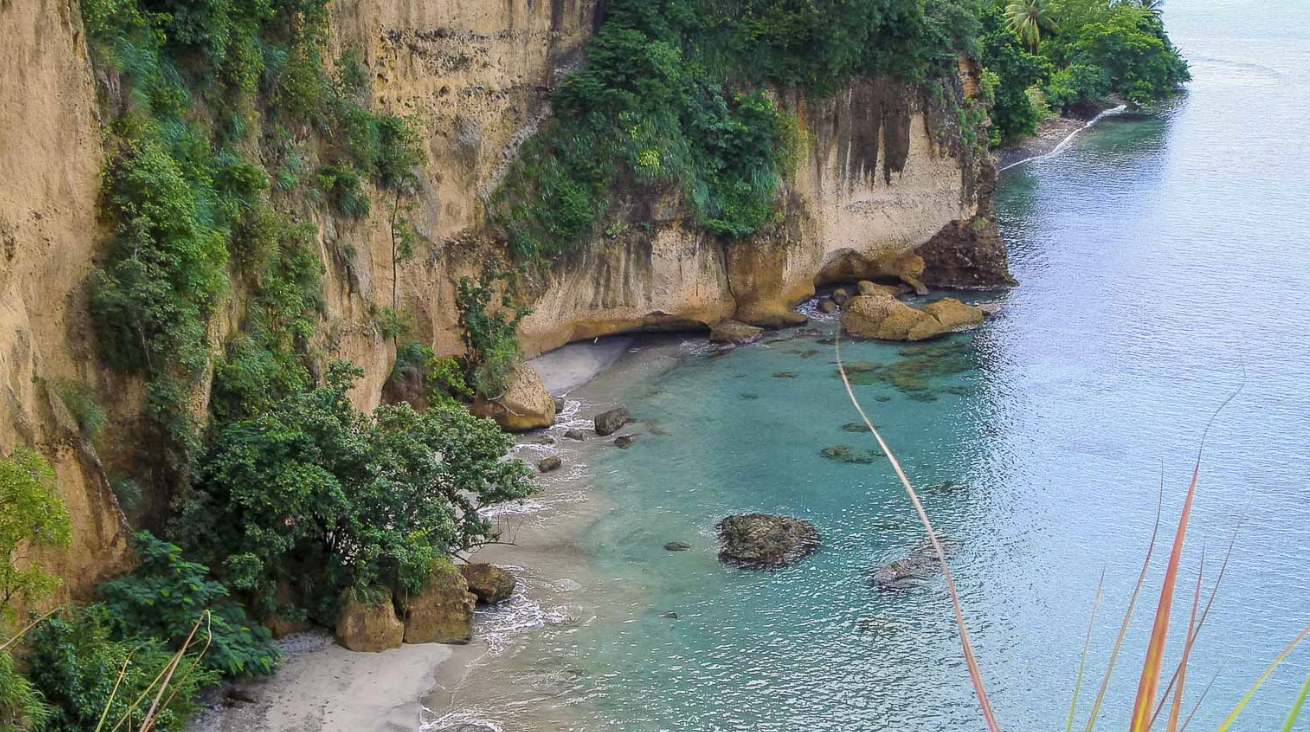 dominica-15.png