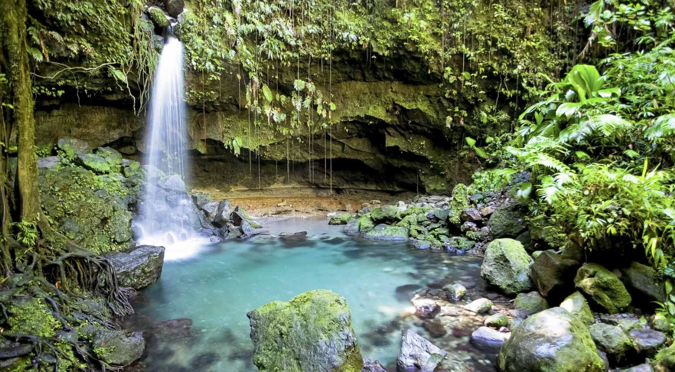 dominica-14.png