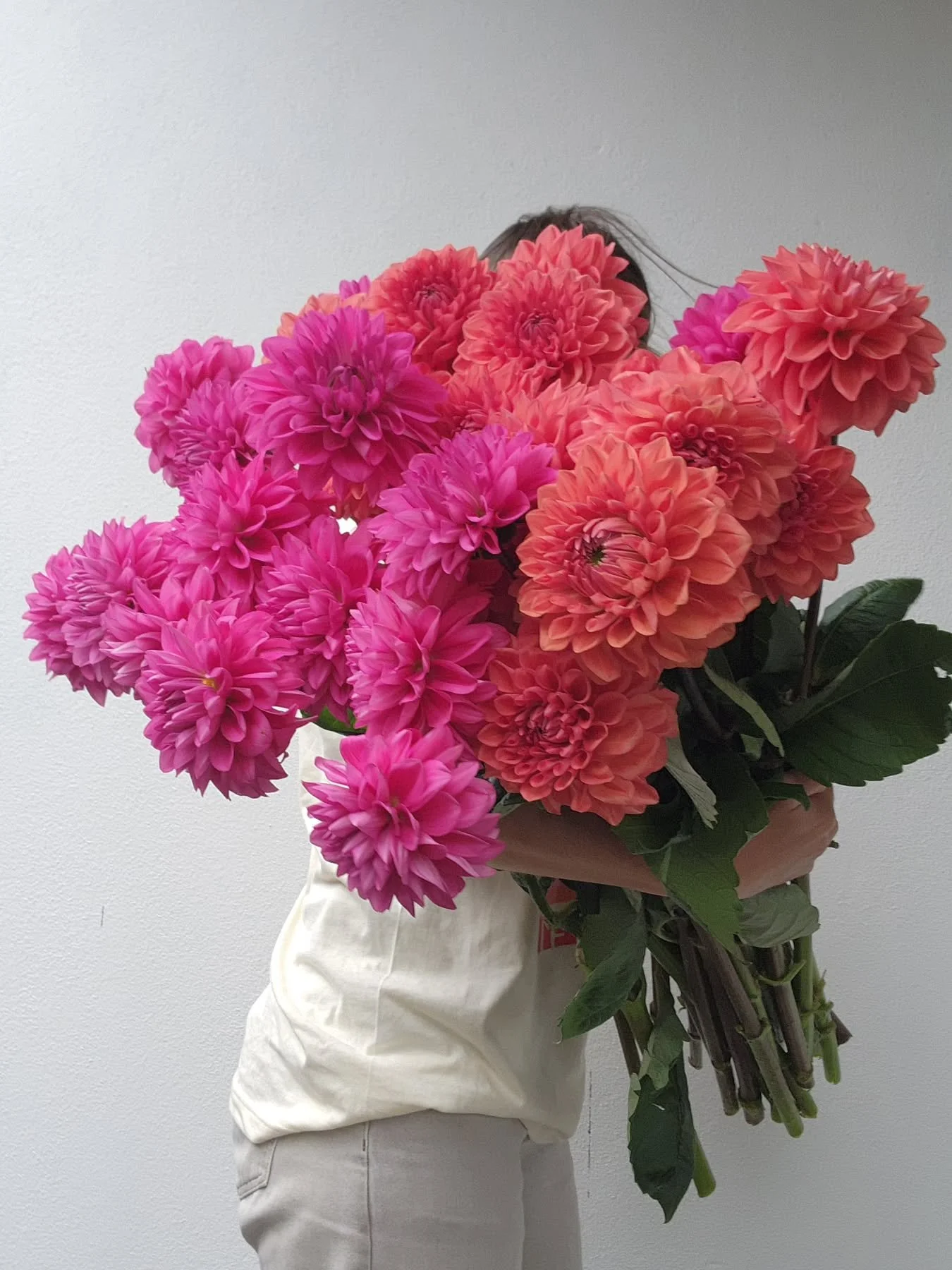 Just a big PSA 📢 Dahlias are back! 

That is all. Enjoy your Tuesday