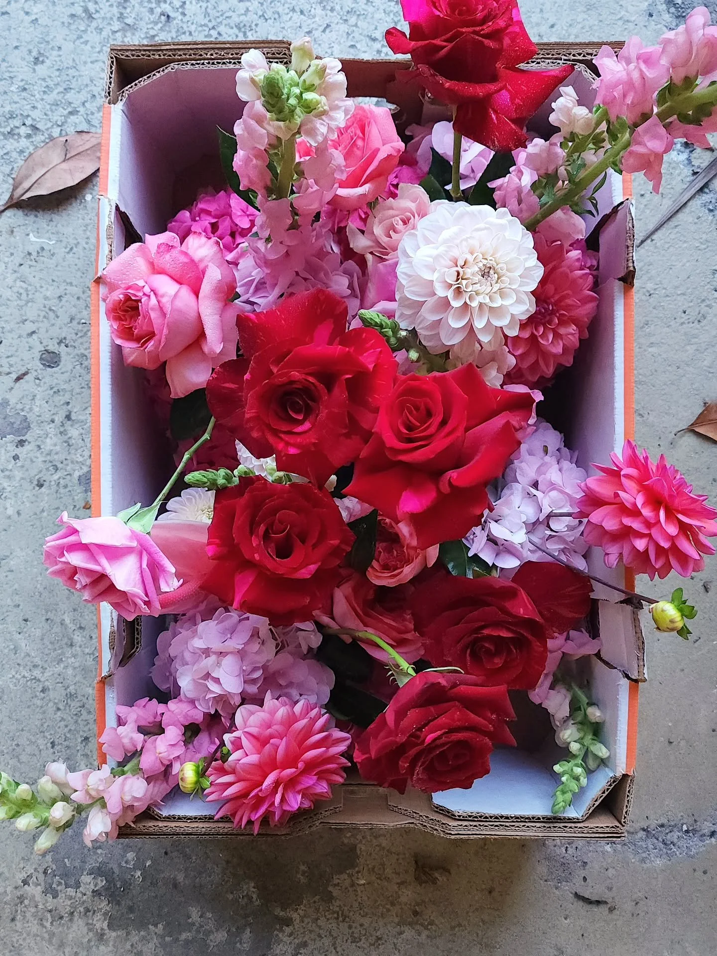 Join me in my thought process from unpack to complete ✂️✂️

Venue @thebungalowweddings