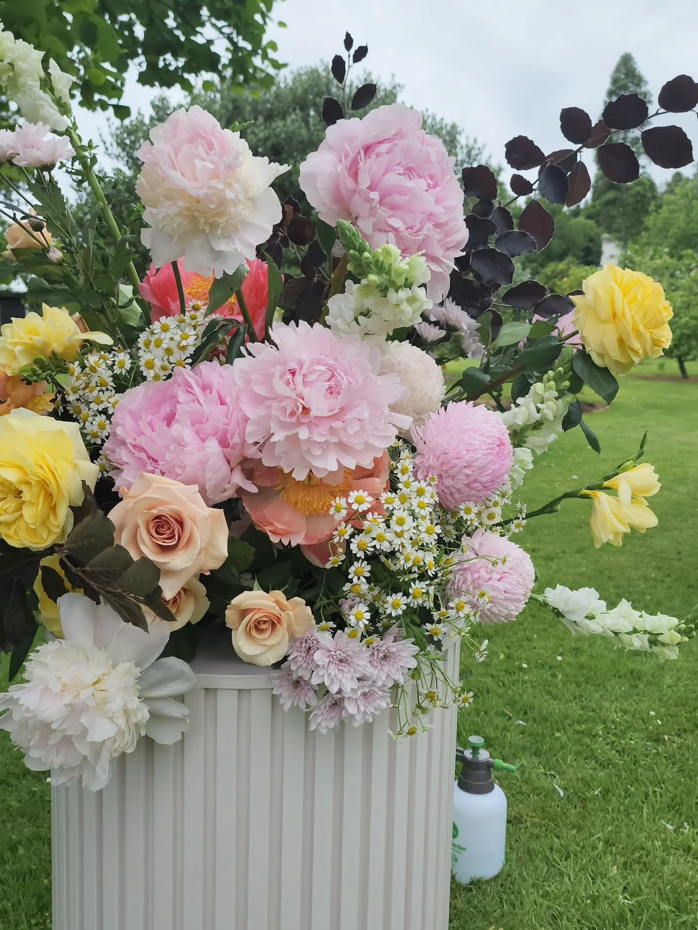 Open to whatever you want me to build on. 

Holly's family created these great plinths and painted her own custom colour. She didnt want white as, she wanted to add softness to tie in with the stunning scenery at Te Maru Farm; The expanse of grass, m