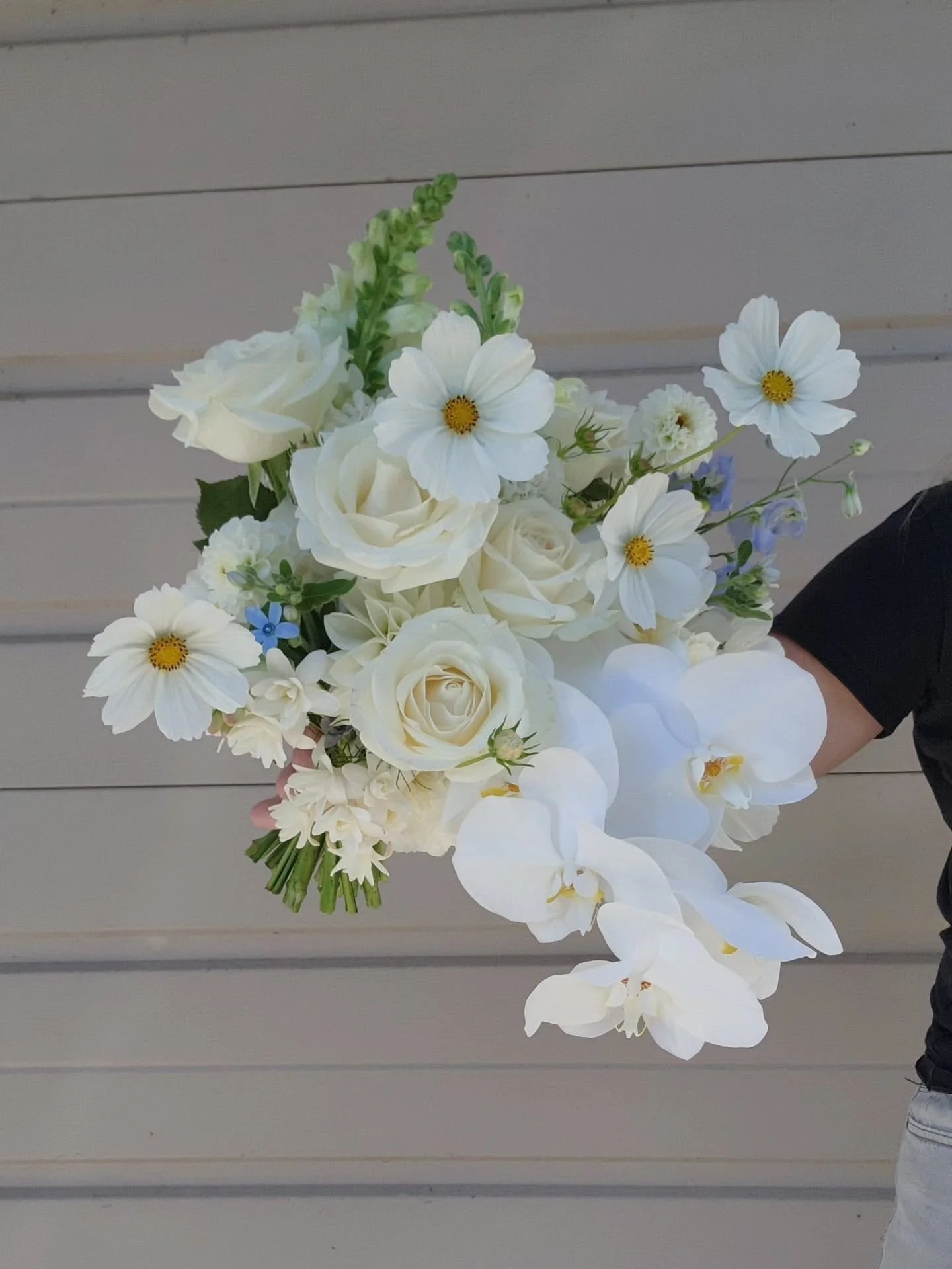 Sally's bouquet 🕊

With just the right amount of everything