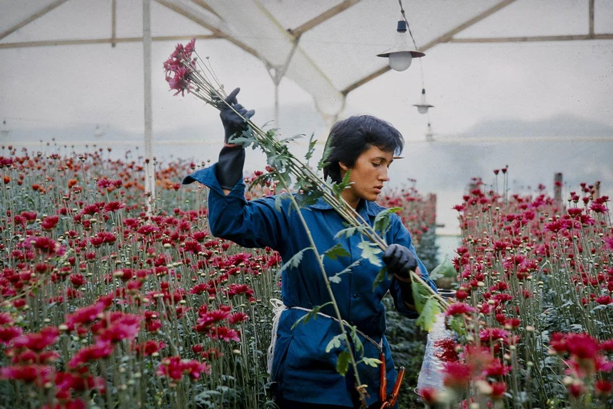 RENCONTRE AVEC GABRIELA TORRES – « L’œuvre de Marta Rodriguez est engagée, transgressive et poétique »