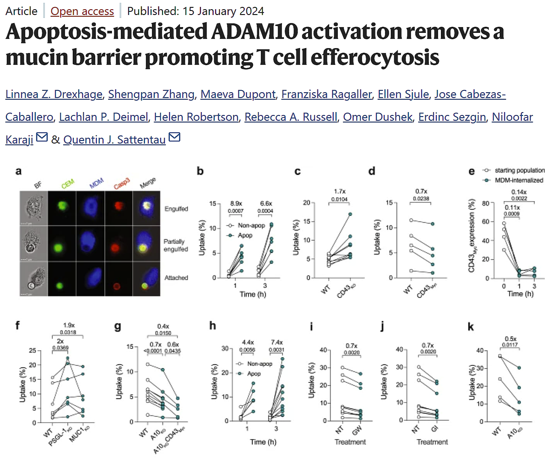 Apoptosis-mediated ADAM10 activation removes a mucin barrier promoting T cell efferocytosis
