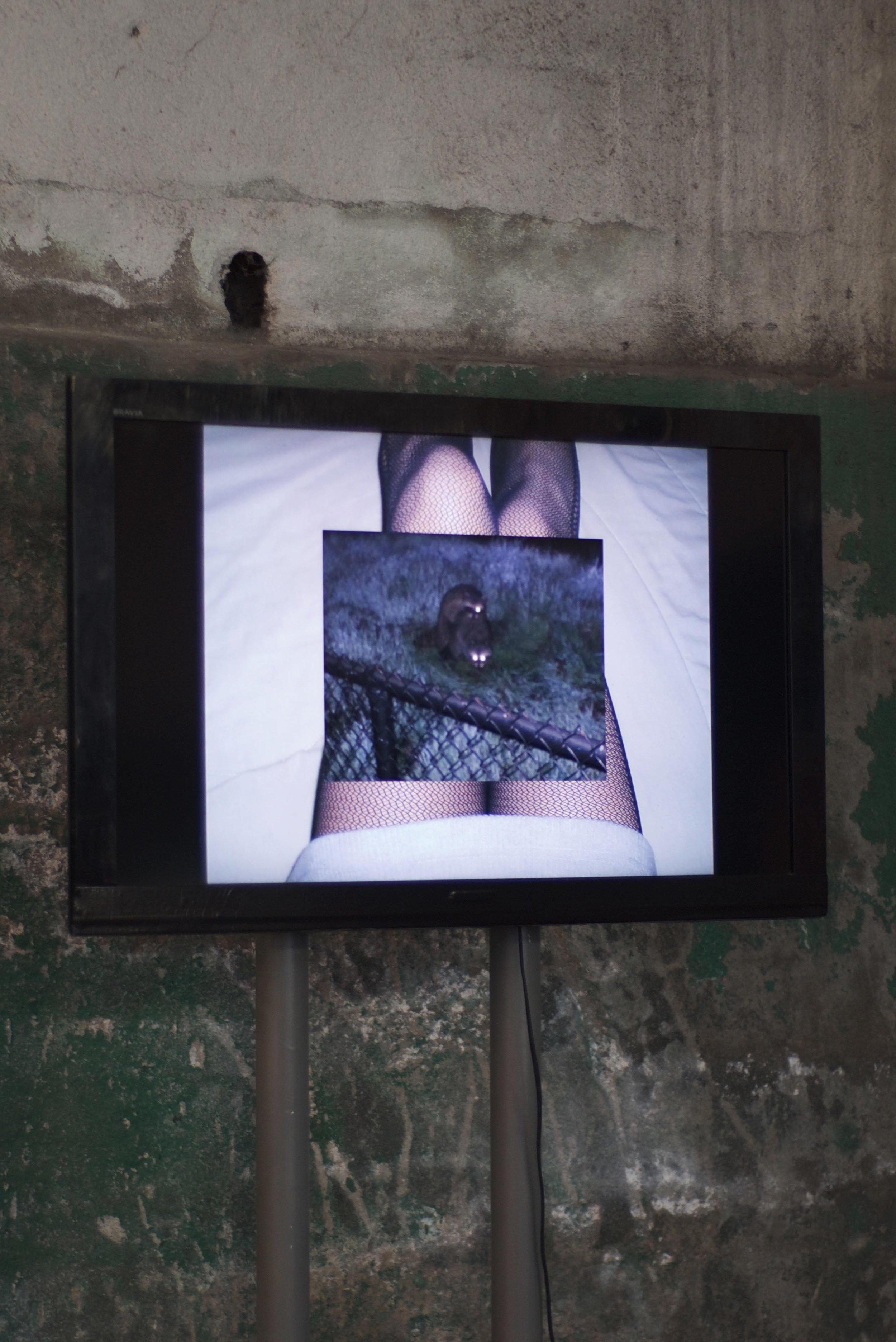 Beatrice Valessina - video5.jpg