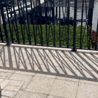 Untitled design(7).gif