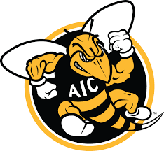 AIC.PNG