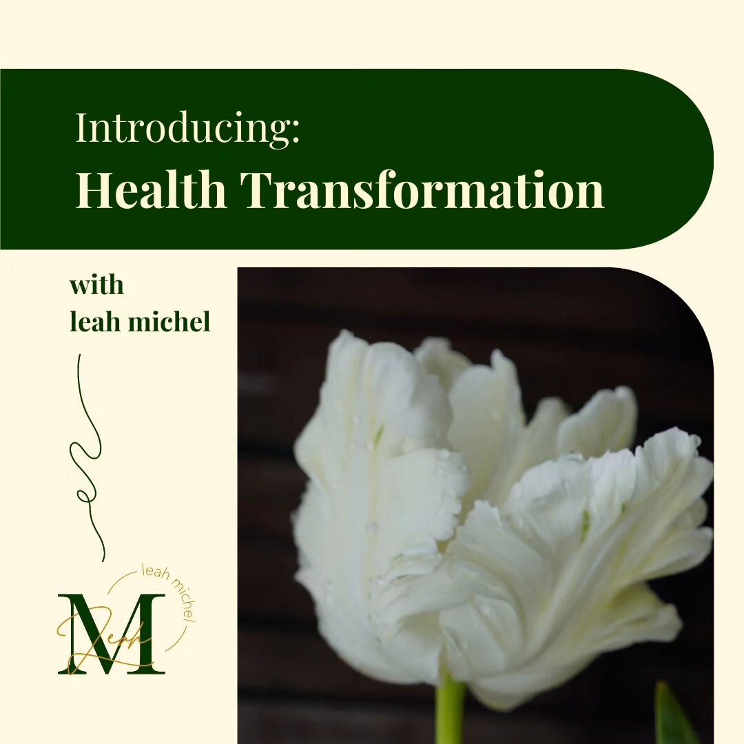 Introducing
Health Transformation

Includes
-a comprehensive bioresonance test
-3 months of voxer support
-6 1:1 sessions with me

During the Health Transformation, we dive deep into your whole health history, devise a comprehensive and holistic appr