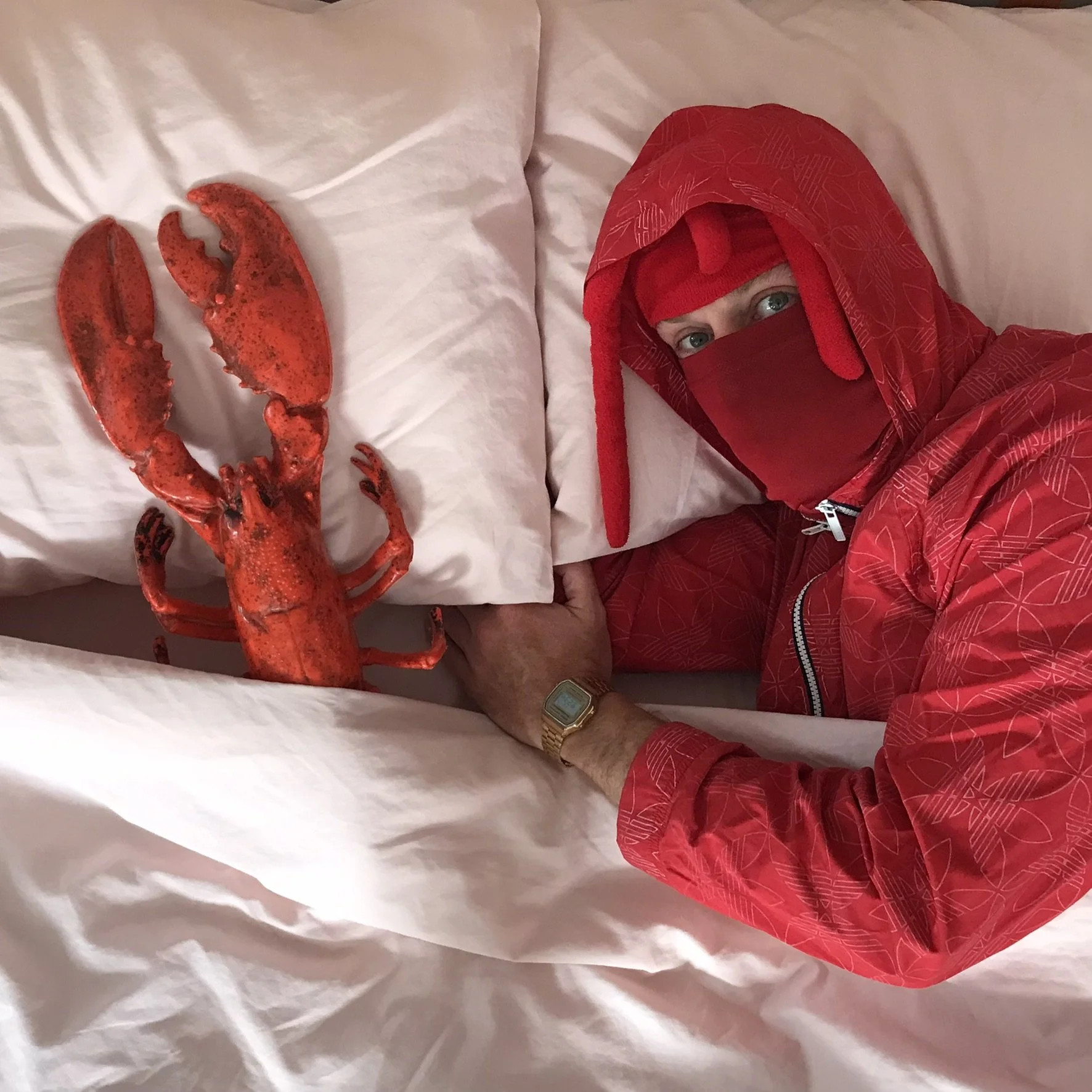 Lobsta B
