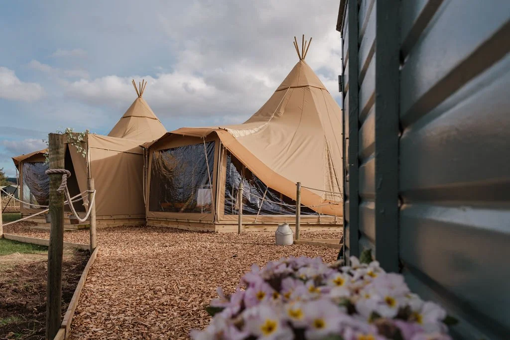 Maycroft_Tipee_KPP26-9790.jpg