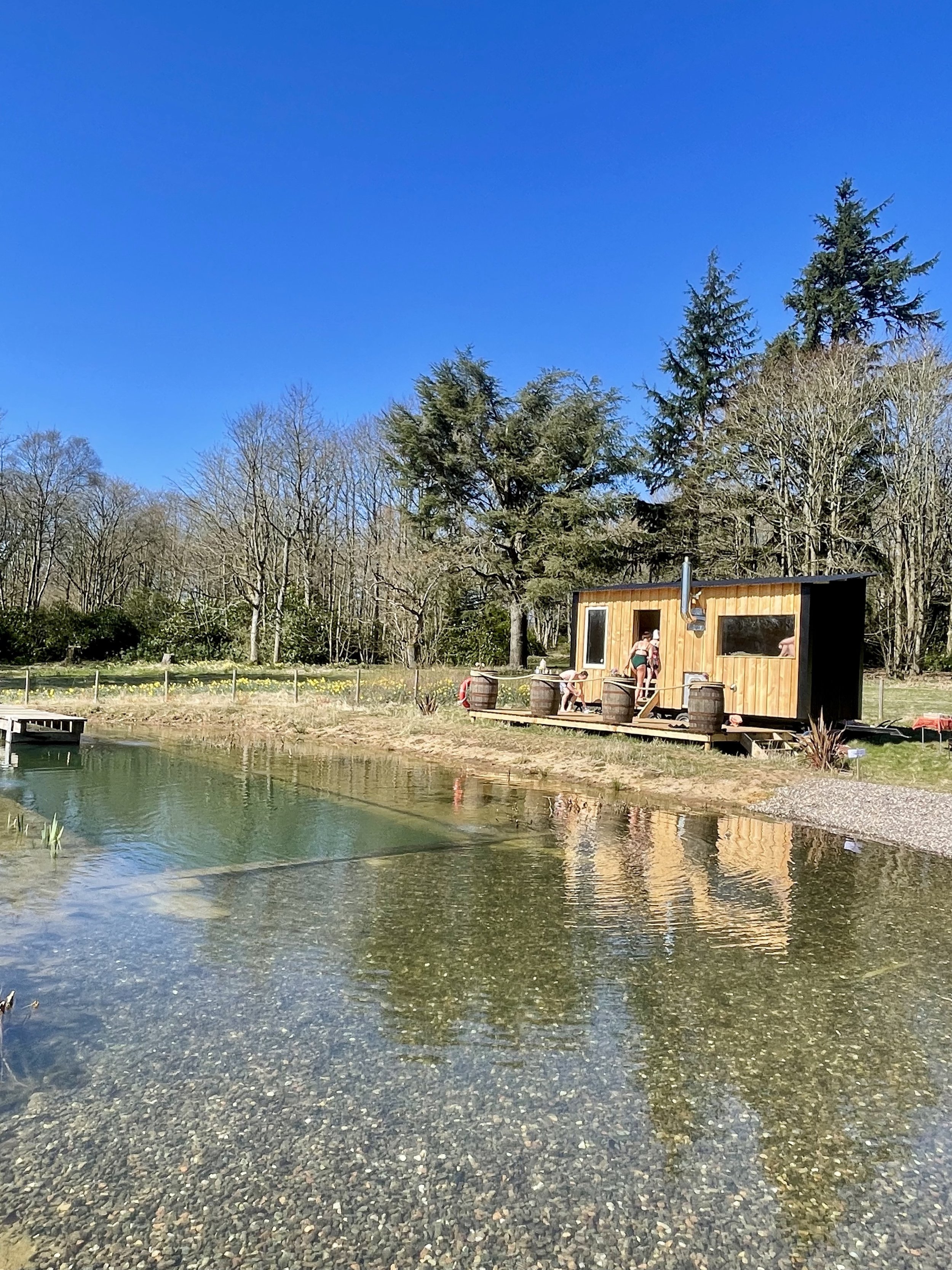 40 sauna and pool.jpg