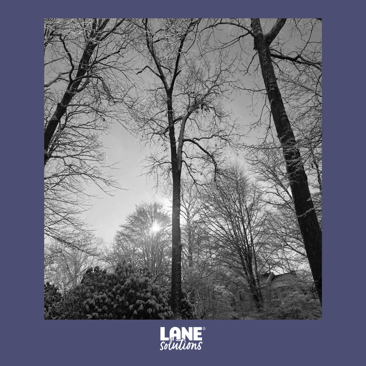 I want spring me to be proud of February me