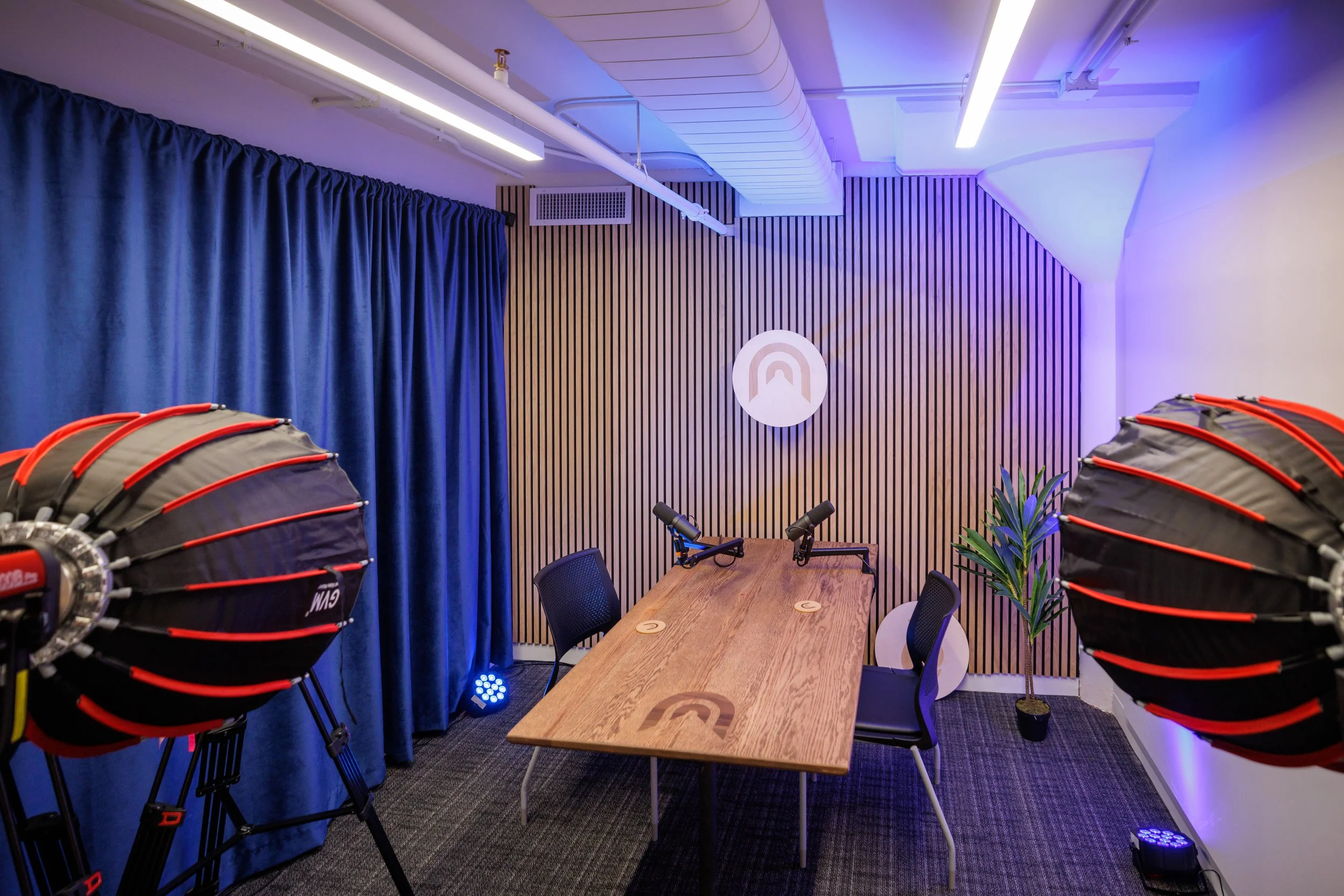 A modern conference room with a long wooden table, six black office chairs, six microphones, a large wall-mounted television, a green potted plant, and framed artwork on the white walls.