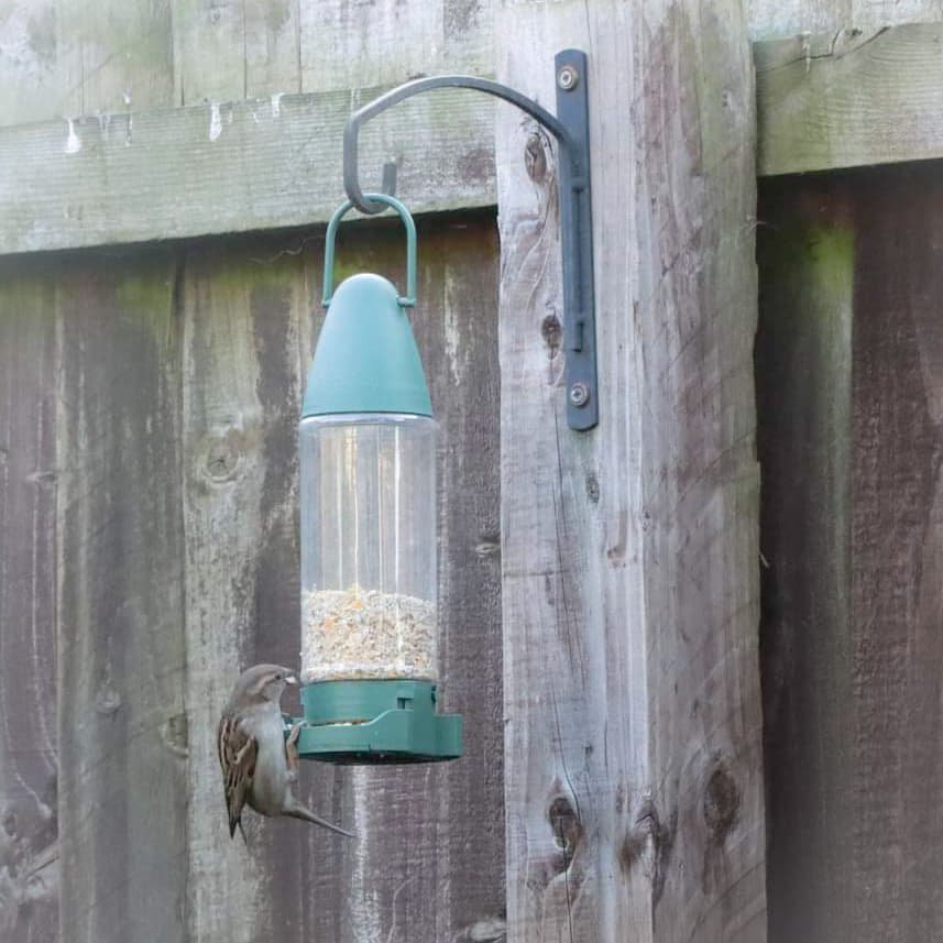 A wooden fence with a clear bird feeder attached. There is a small sparrow attached and feeding from it.