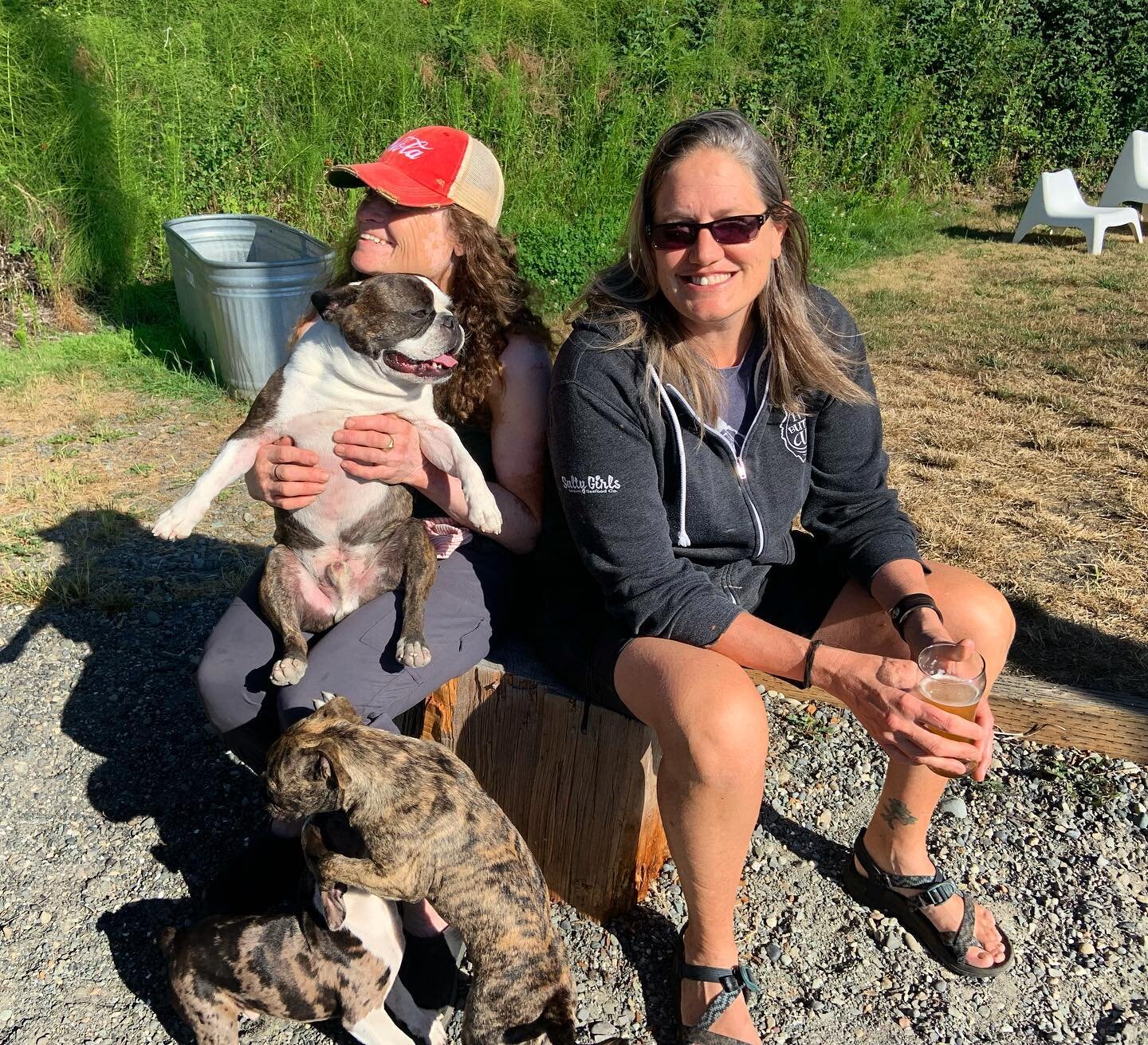 Owners Tracy and Lavon relaxing with all the dogs &hellip; I think this is their happy place 😍🐶 All our cabins here are dog friendly, book now at Sunsetmarineresort.com 🙌
.
.
.

#sequimwa
#sequim  #sequimwashington #sequimbay #sequimairbnb #bestai