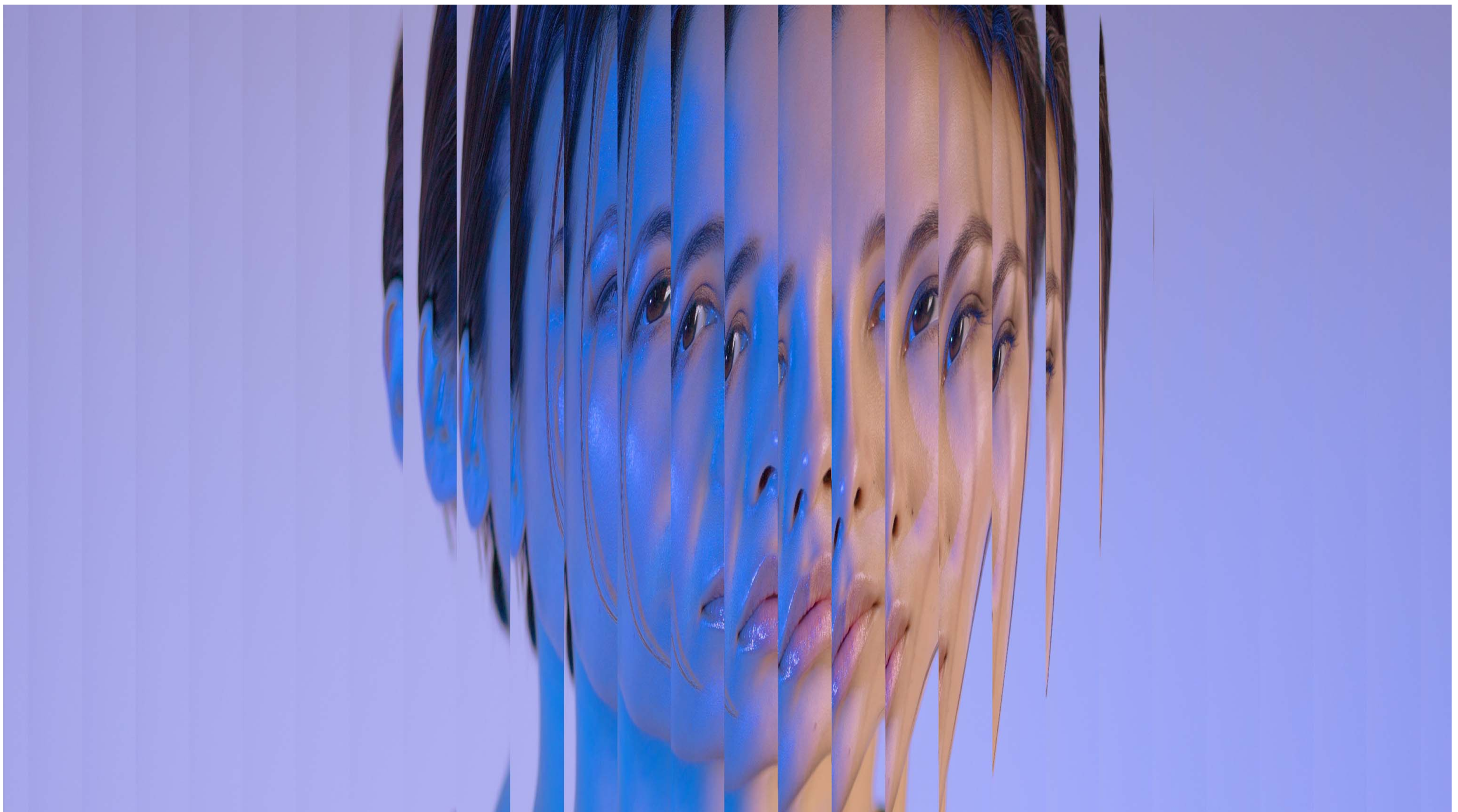 Examination project - Brand identity & website redesign for Animech