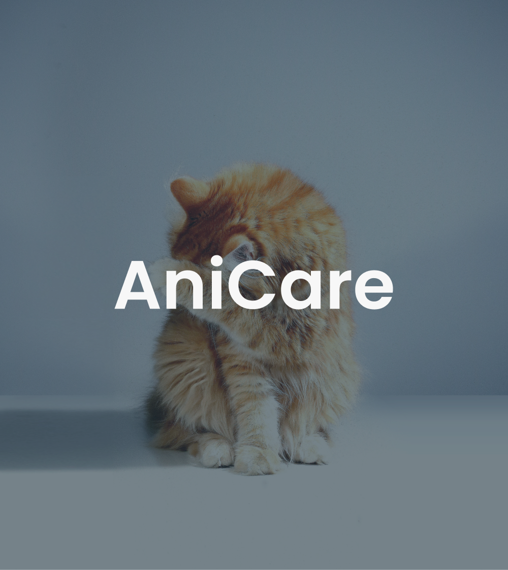 Personal Project - Full process of creating an app from research to prototype