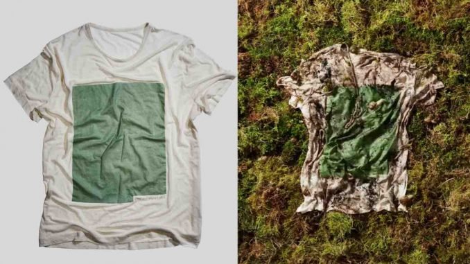 Innovative Fashion: The T-Shirt That Can Biodegrade in Just 12 Weeks ...