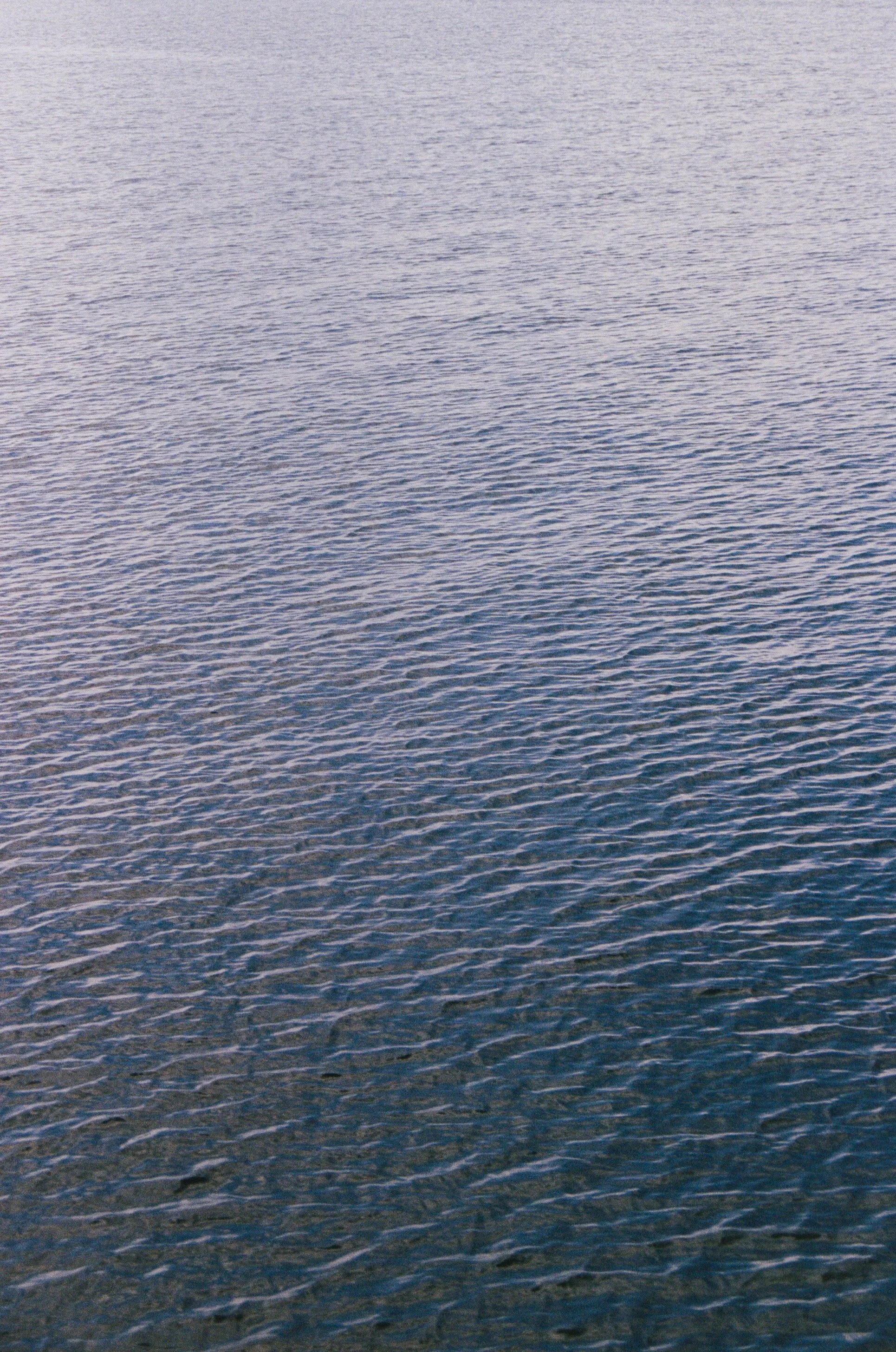 7166AC9A-8EF1-46B0-9C9A-075E2A09EEE1 3.JPEG