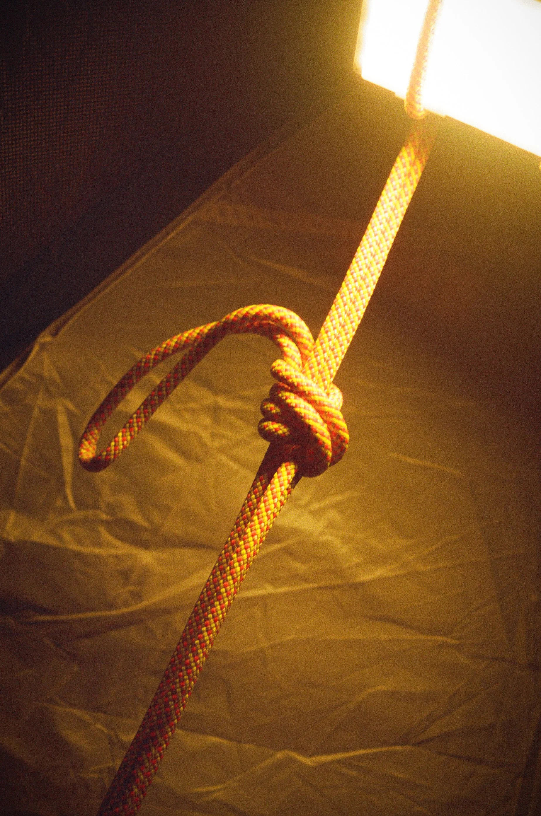 0C5E96BC-67EF-4CCB-B4E5-BFA56ABA9E4E 3.JPEG