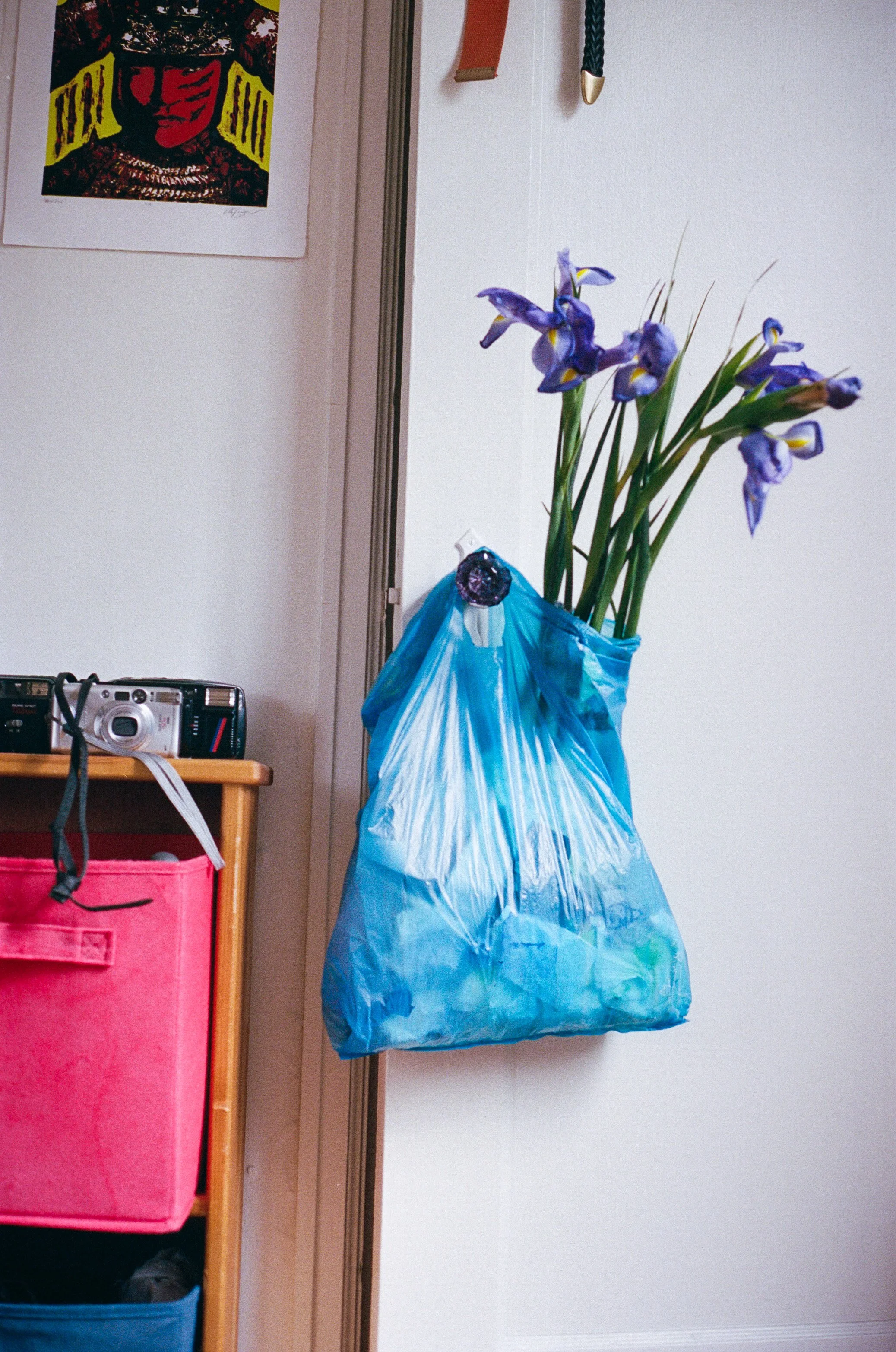 26CB61EE-4749-4DB9-A652-25833ED3B843 4.JPEG