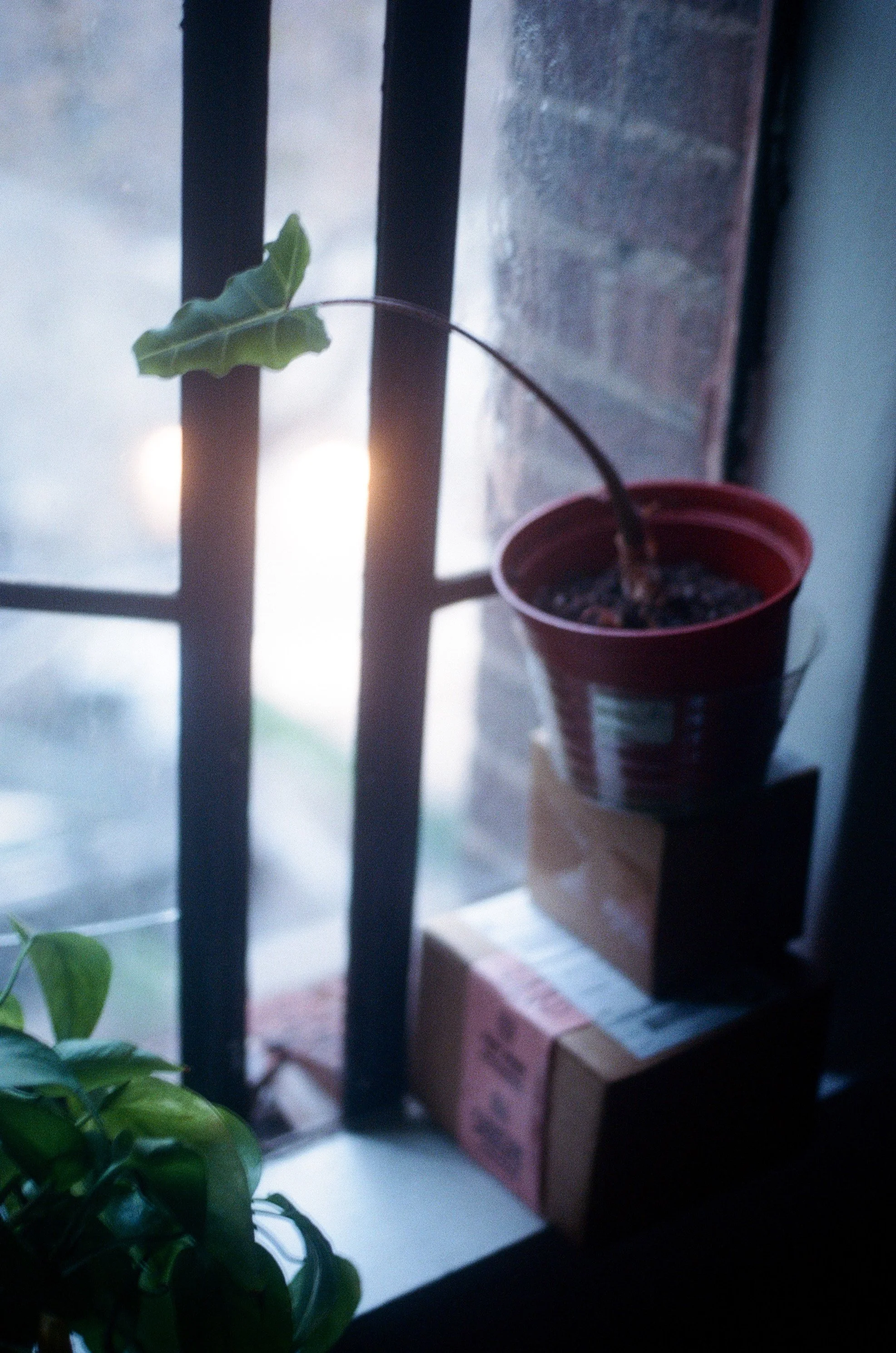 D6B5FC85-DA41-4565-B5F0-B7B291BAA9B1 3.JPEG